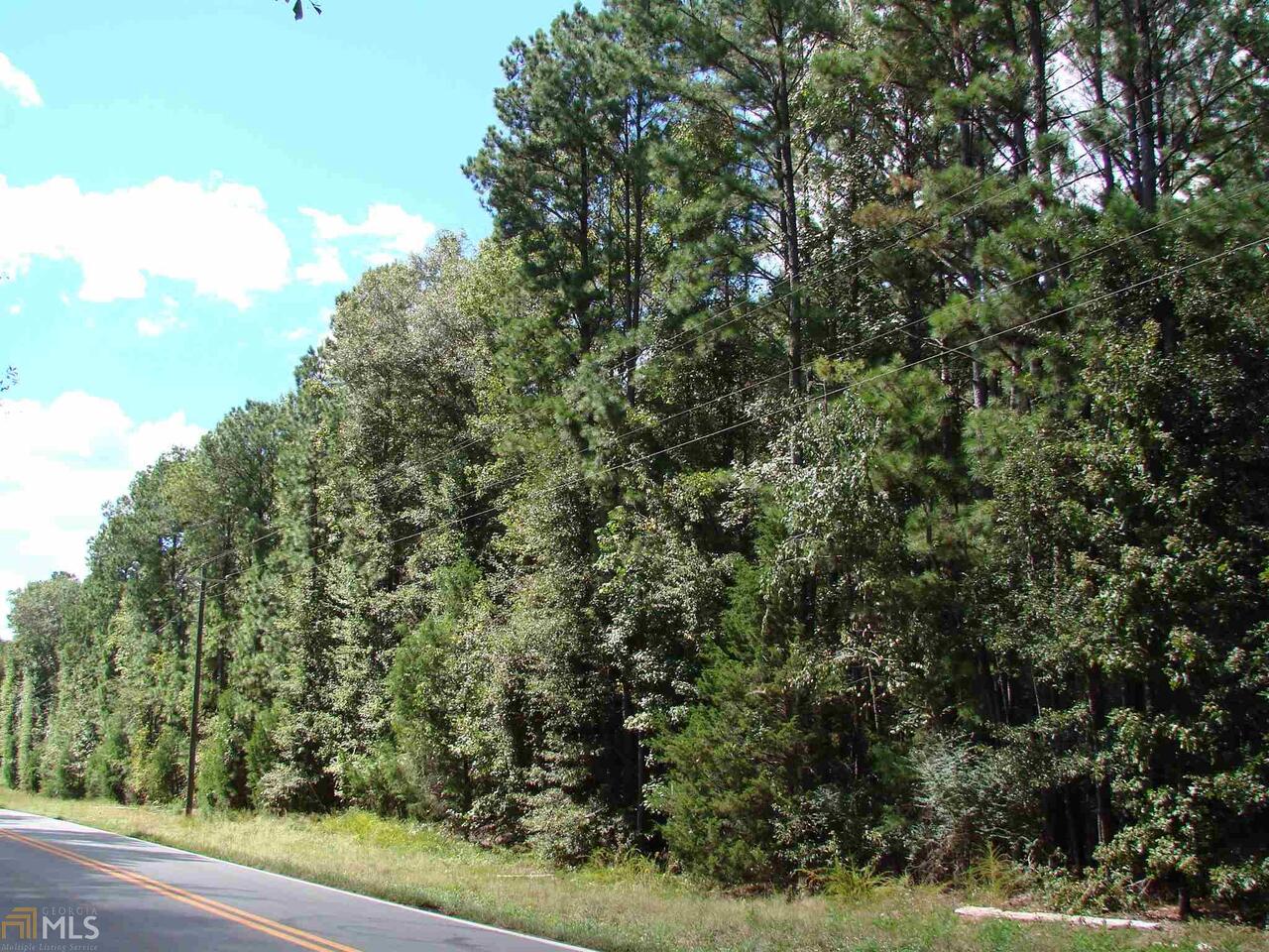 6080 New Hope Road Milner, GA 30257 - Photo 1 of 1