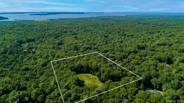 a view of a field with a tree in the background