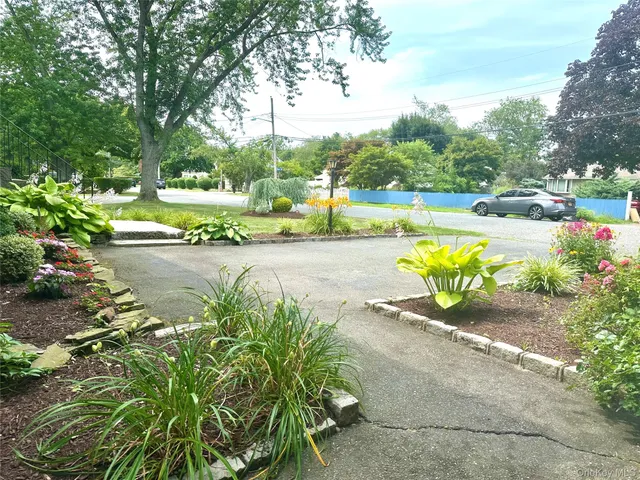 a view of a swimming pool with lawn chairs and plants