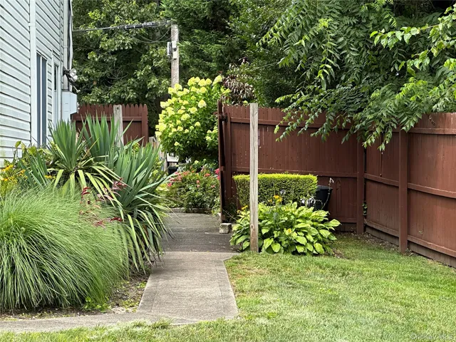 a view of a garden with plants