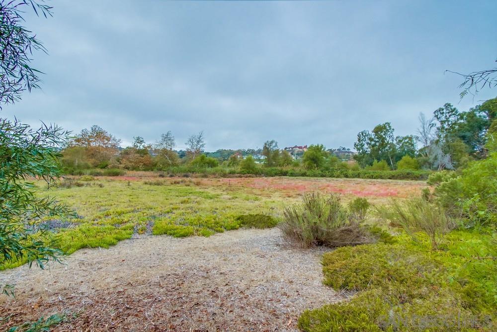 4124 Stonebridge Lane Rancho Santa Fe, CA 92091 - Photo 35 of 38 a view of a lake with houses in the back