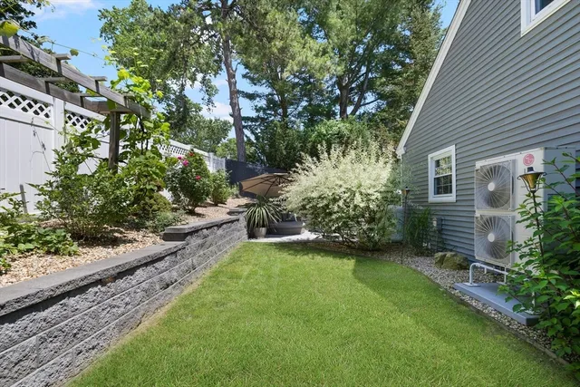a view of a backyard with plants and large tree
