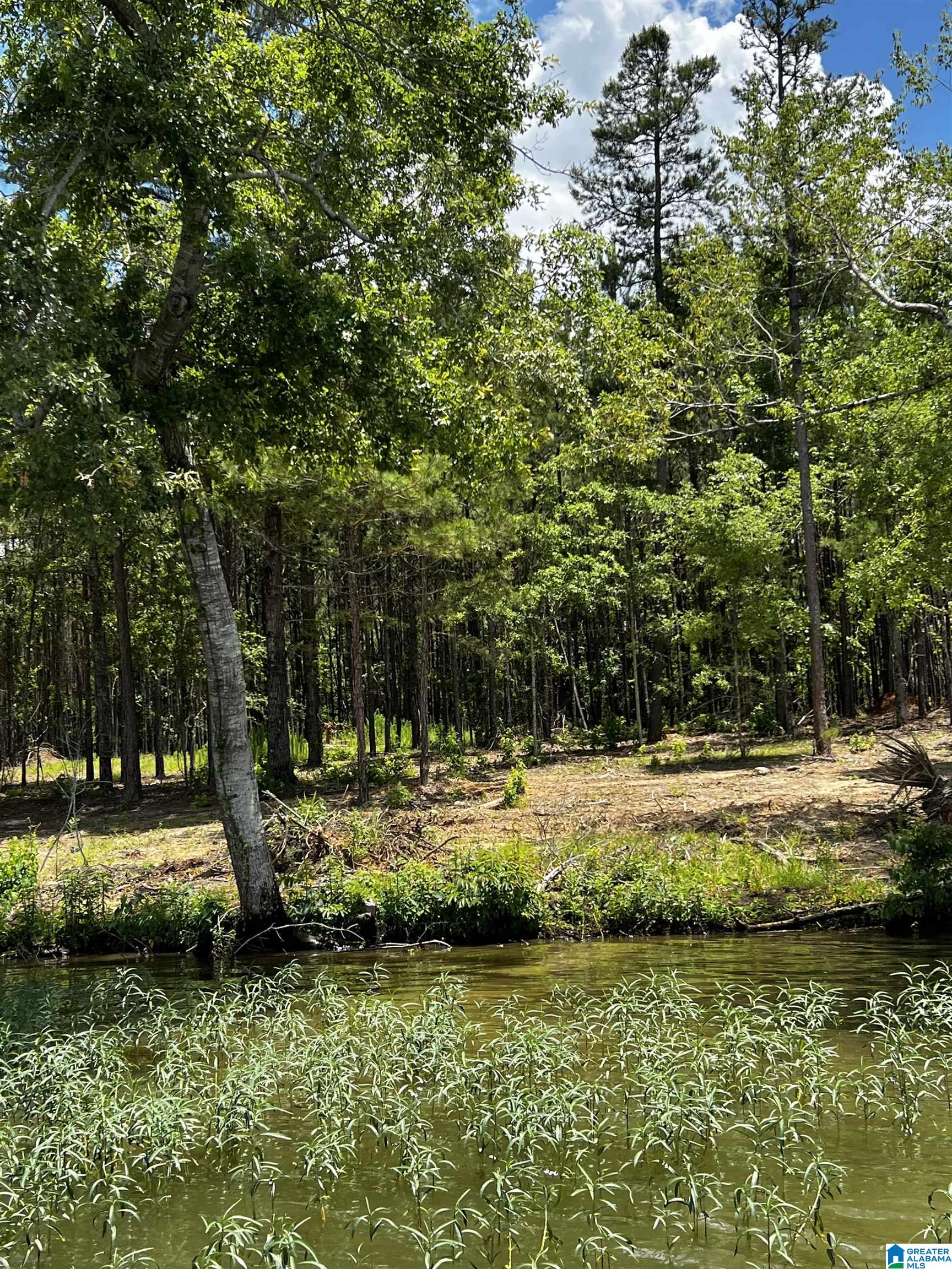 0 Daybreak Curve, Unit 5 Rockford, AL 35136 - Photo 4 of 10