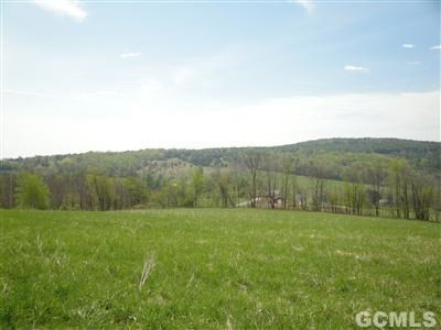0 Kenyon Road Rensselaerville, NY 12147 - Photo 4 of 13 Photo 4