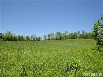 0 Kenyon Road Rensselaerville, NY 12147 - Photo 6 of 13 Photo 6