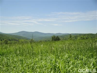 0 Kenyon Road Rensselaerville, NY 12147 - Photo 10 of 13 Photo 10