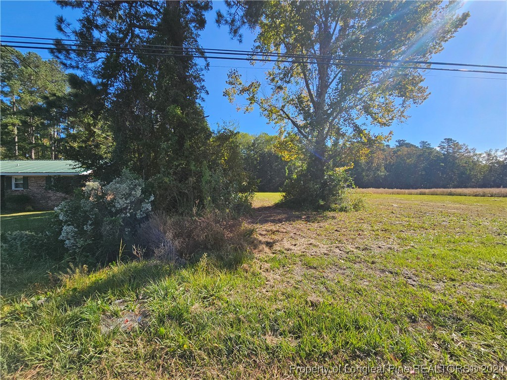 902 Stake Road Tabor City, NC 28463 - Photo 4 of 5 Gallery Image 4