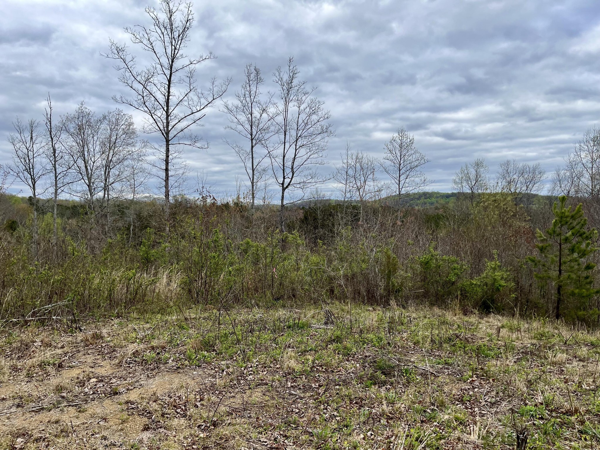 4 County Road 188 Decatur, TN 37322 - Photo 1 of 16 Gallery Image 1