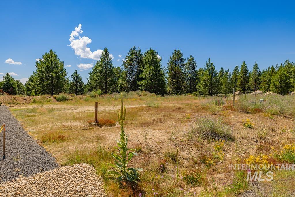 110 Bighorn Court McCall, ID 83638 - Photo 4 of 21