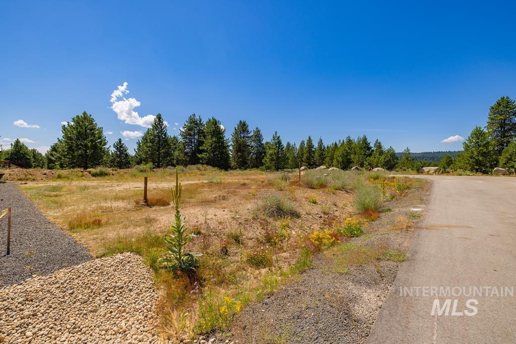 110 Bighorn Court McCall, ID 83638 - Photo 5 of 21