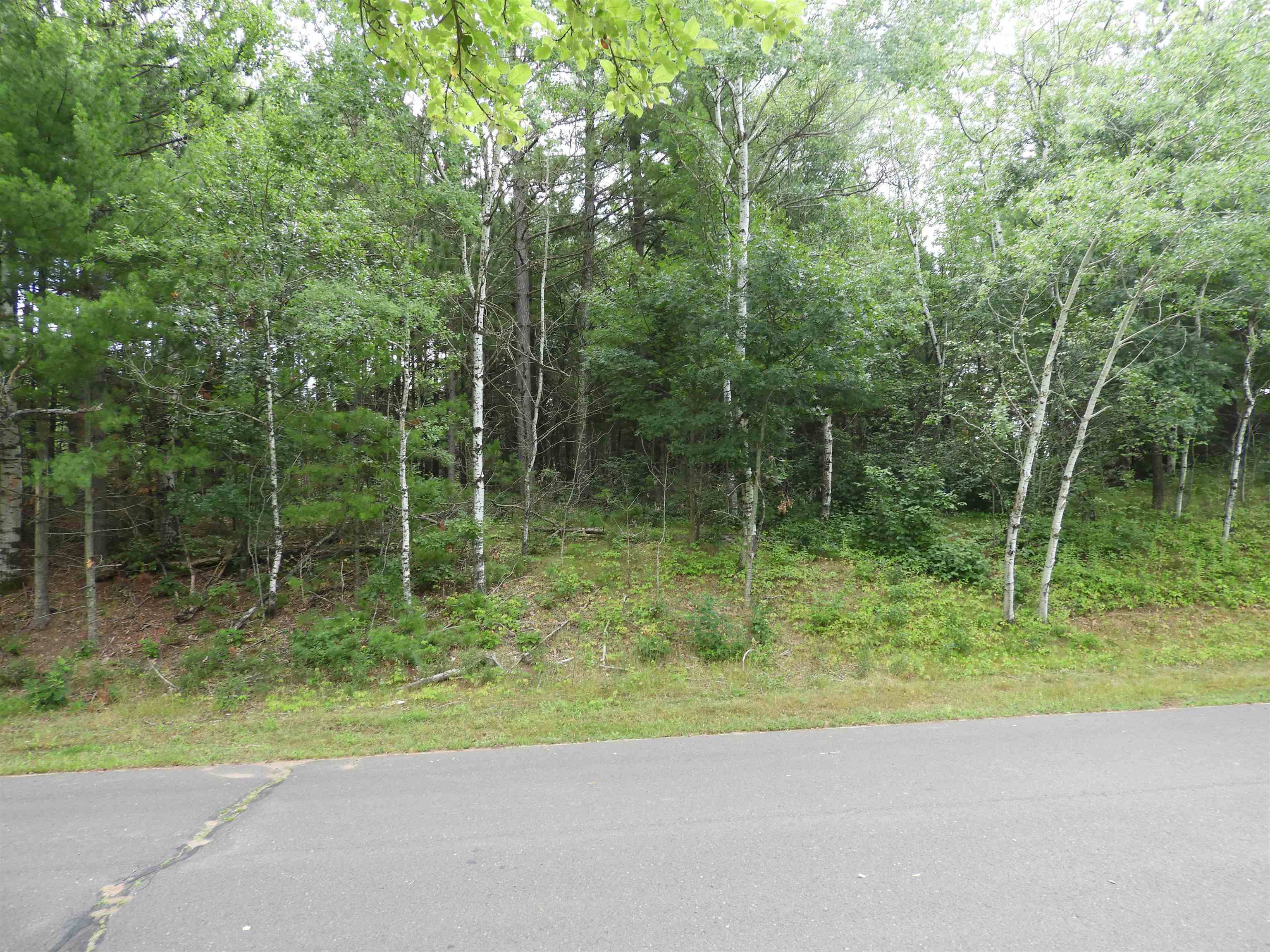 27-xx Ellison Lake Road Solon Springs, WI 54873 - Photo 2 of 5 Gallery Image 2
