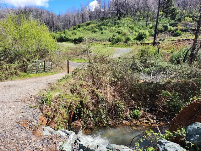 a view of a garden with a bench
