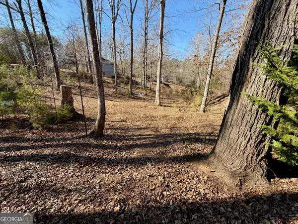 a view of a backyard of the house