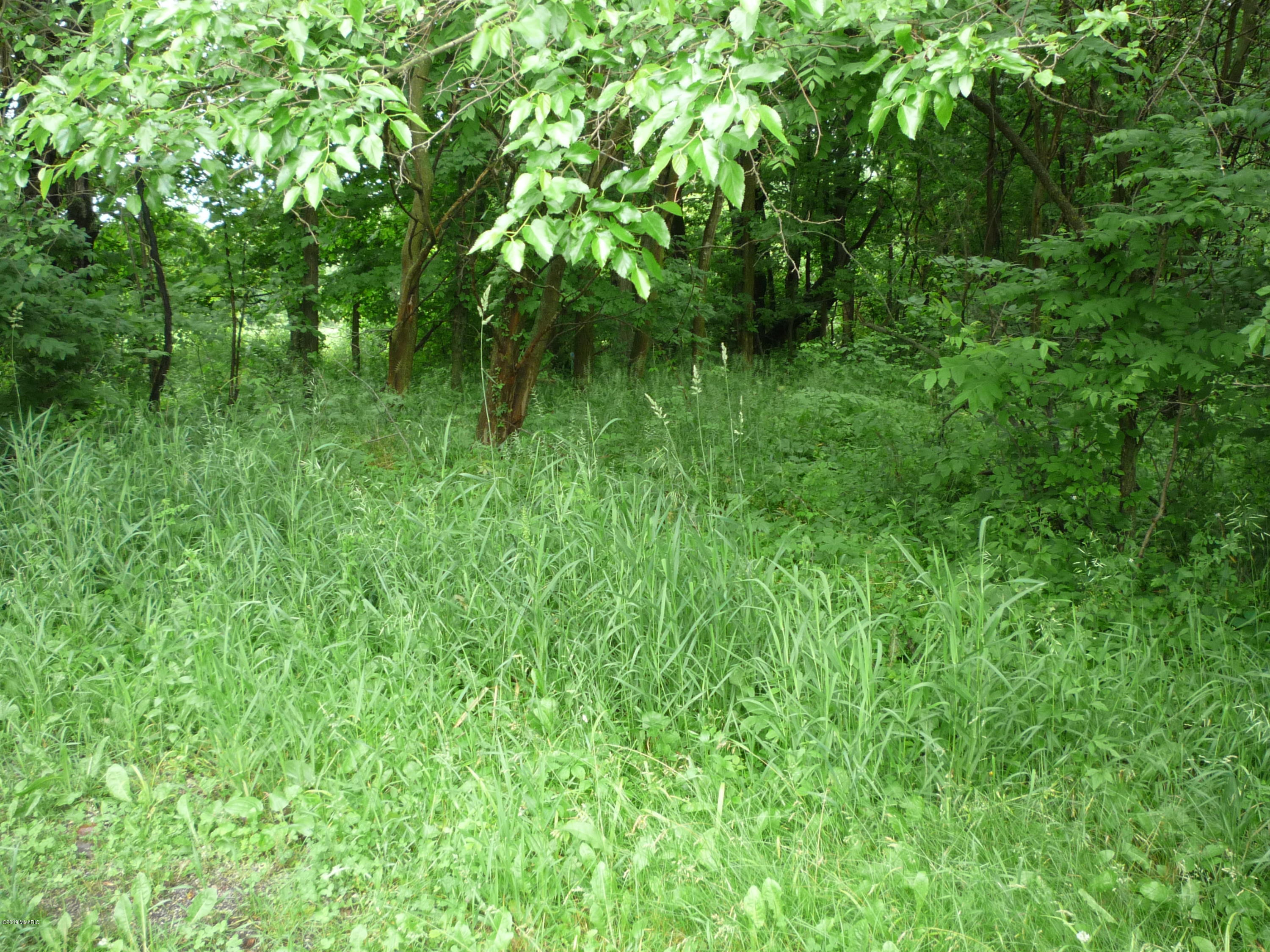 Lot A Wright Road Quincy, MI 49082 - Photo 1 of 11 P1050920