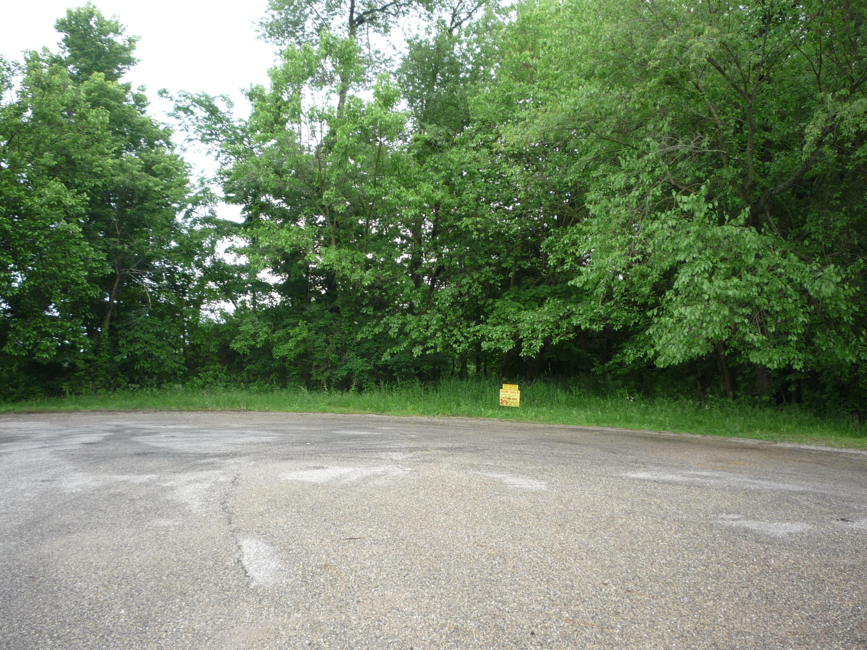 Lot A Wright Road Quincy, MI 49082 - Photo 11 of 11 P1050925