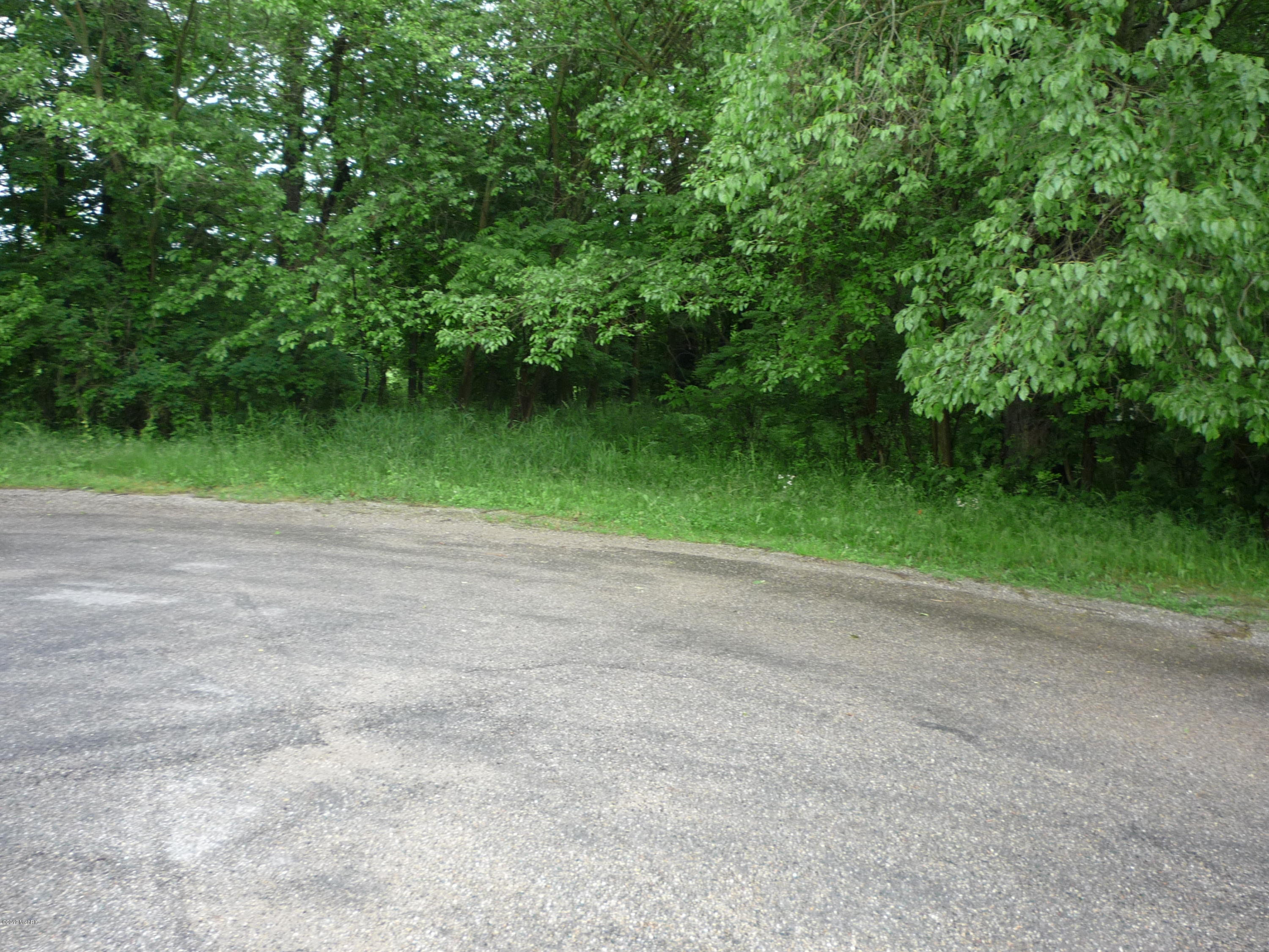 Lot A Wright Road Quincy, MI 49082 - Photo 2 of 11 P1050923