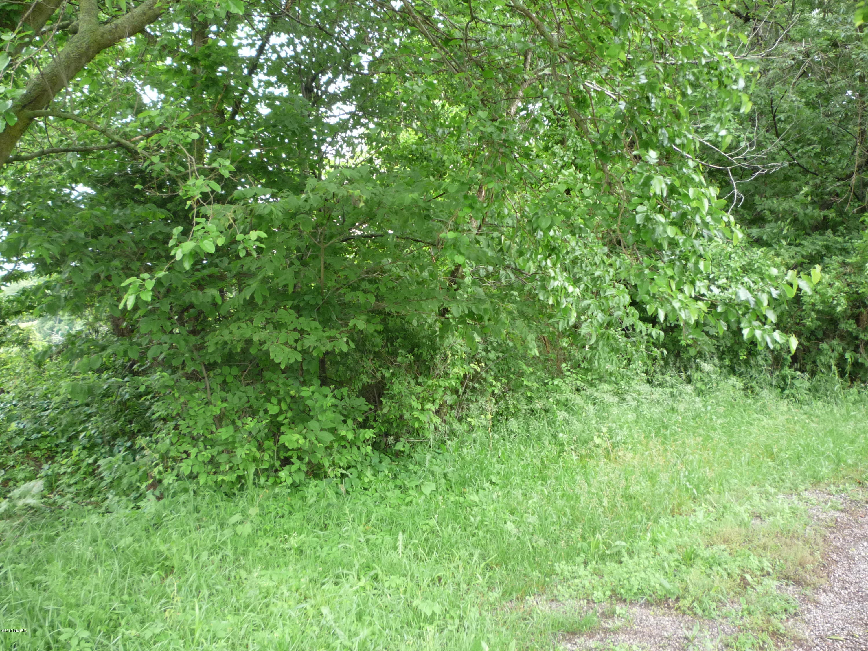 Lot A Wright Road Quincy, MI 49082 - Photo 3 of 11 P1050915