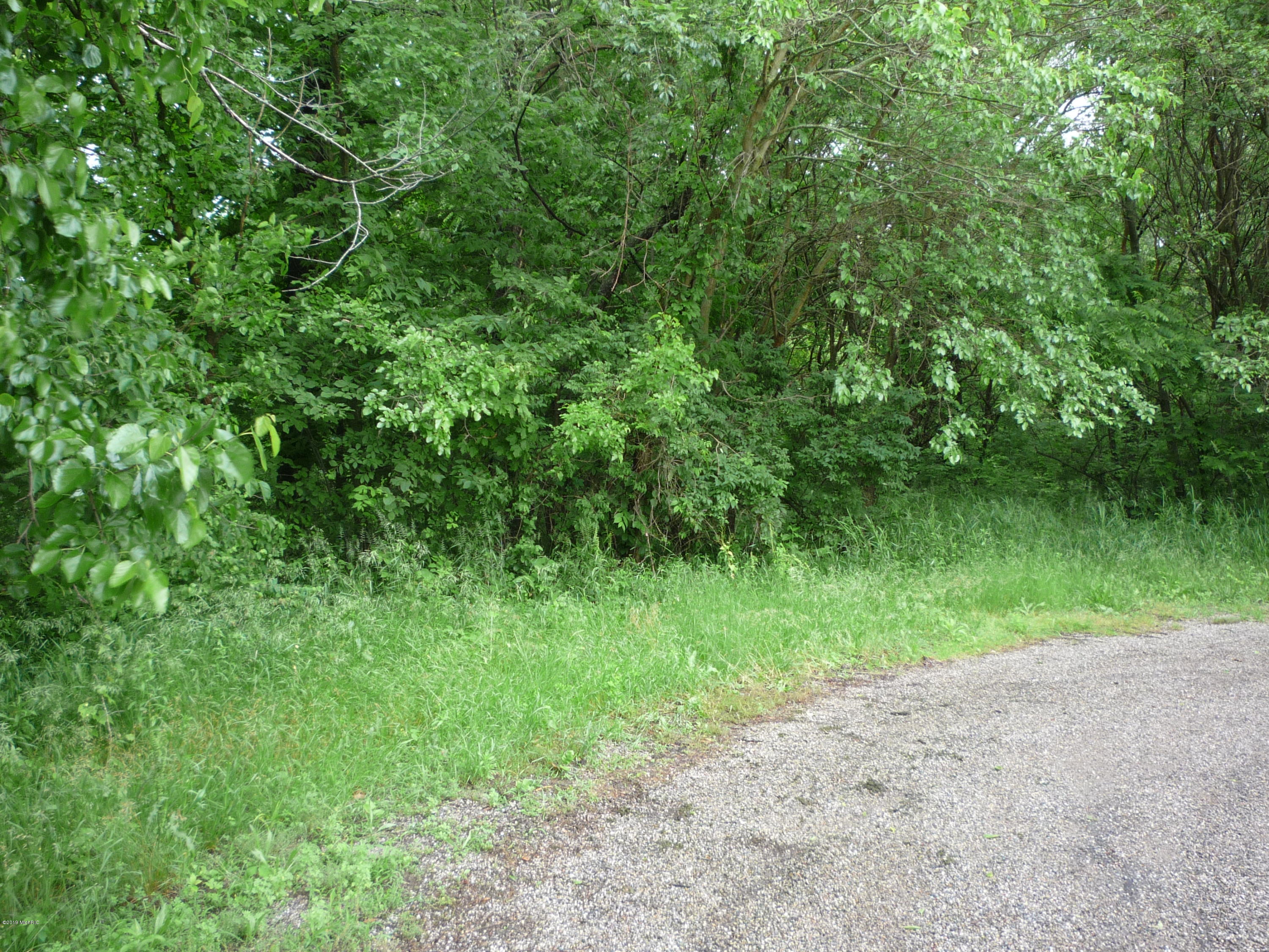 Lot A Wright Road Quincy, MI 49082 - Photo 4 of 11 P1050916