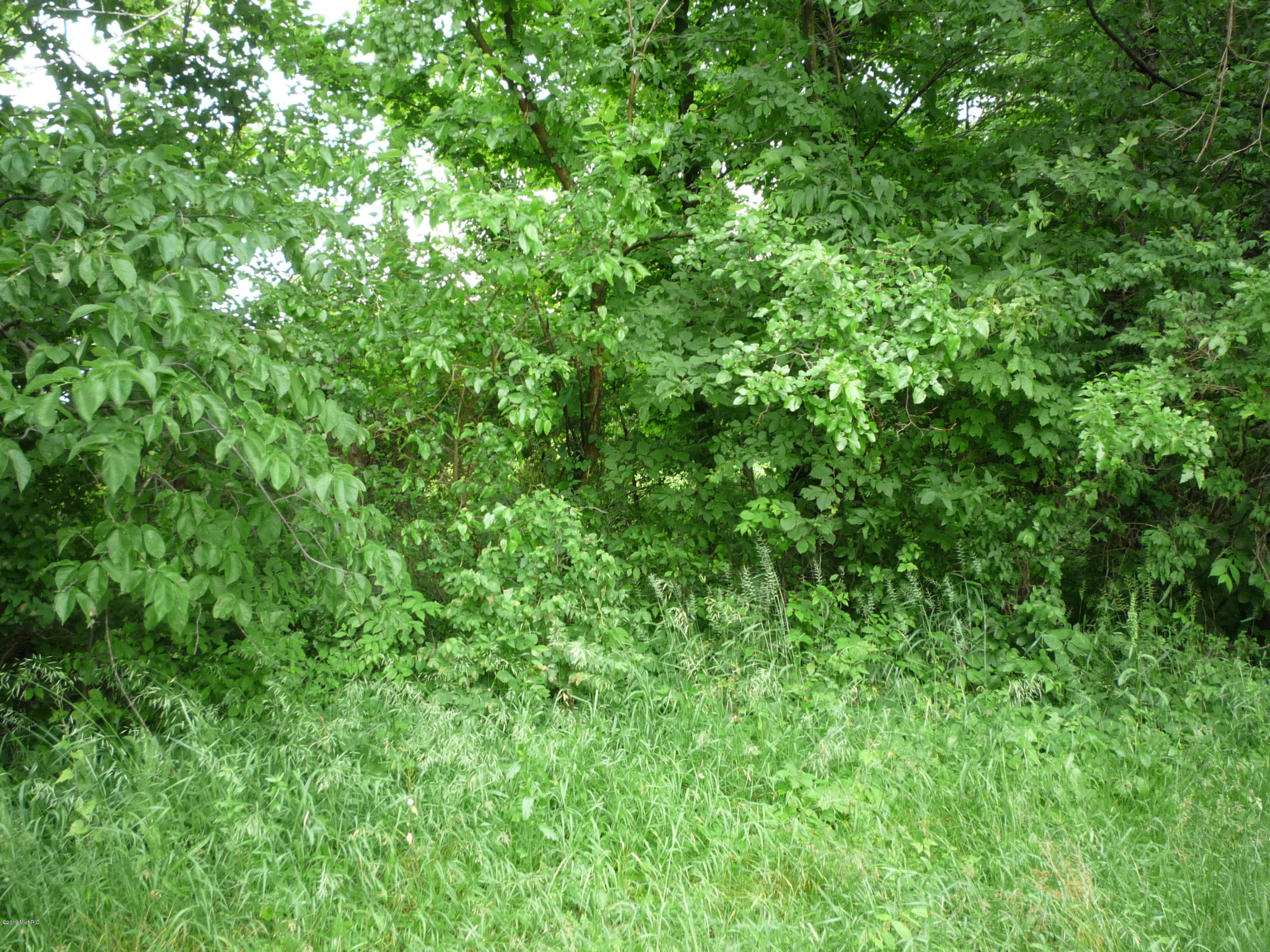 Lot A Wright Road Quincy, MI 49082 - Photo 5 of 11 P1050917