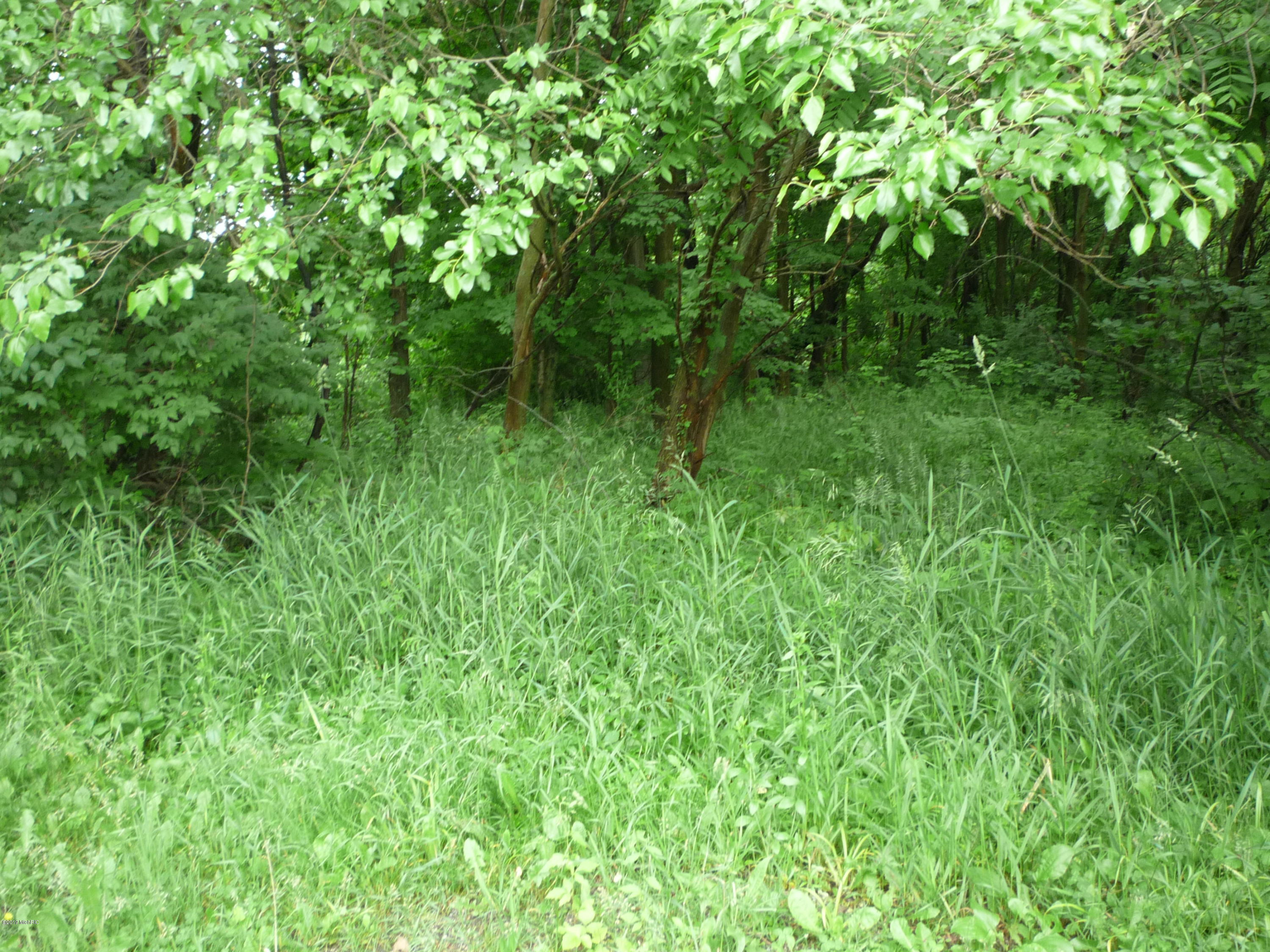 Lot A Wright Road Quincy, MI 49082 - Photo 6 of 11 P1050918