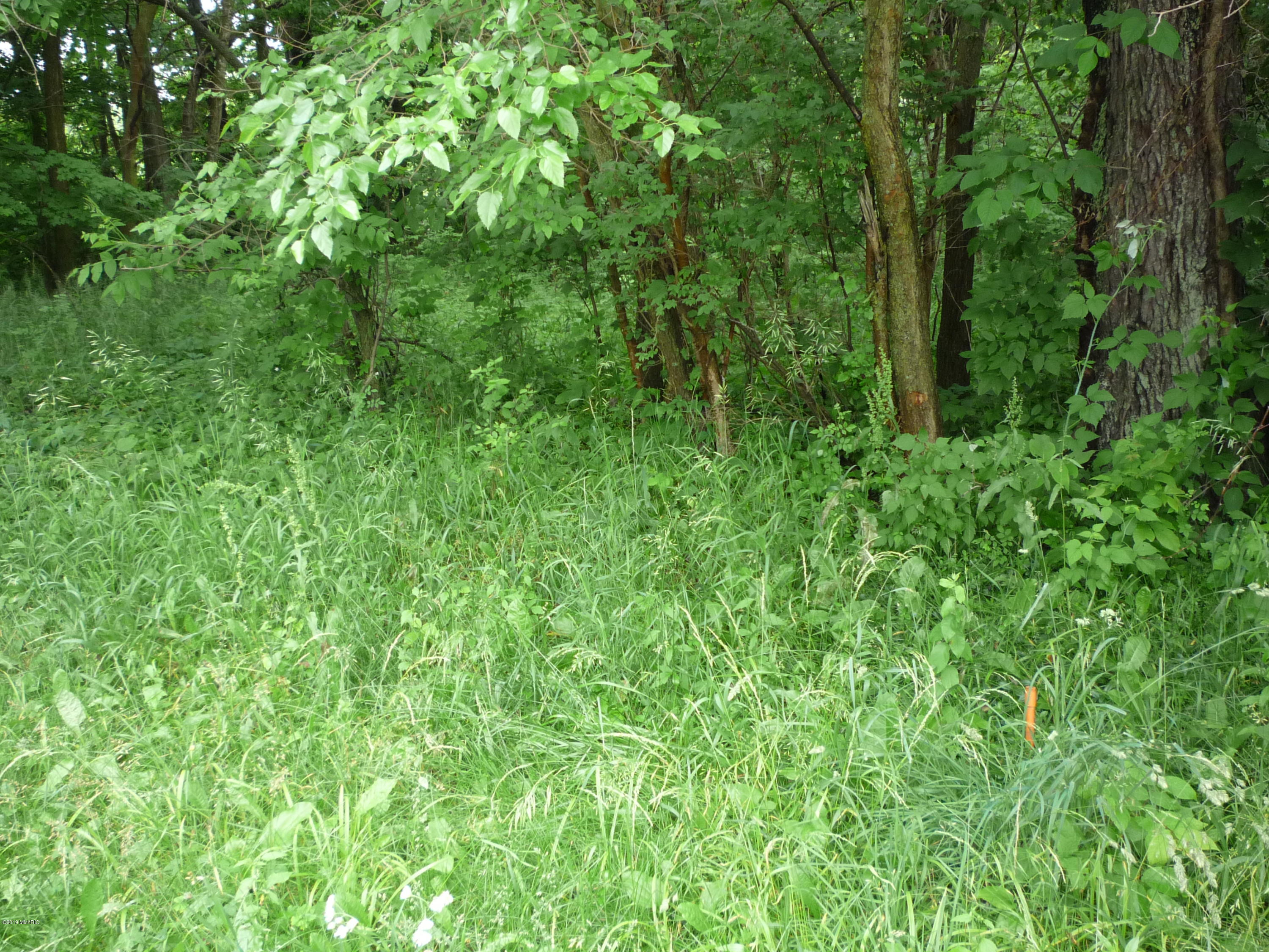 Lot A Wright Road Quincy, MI 49082 - Photo 7 of 11 P1050919