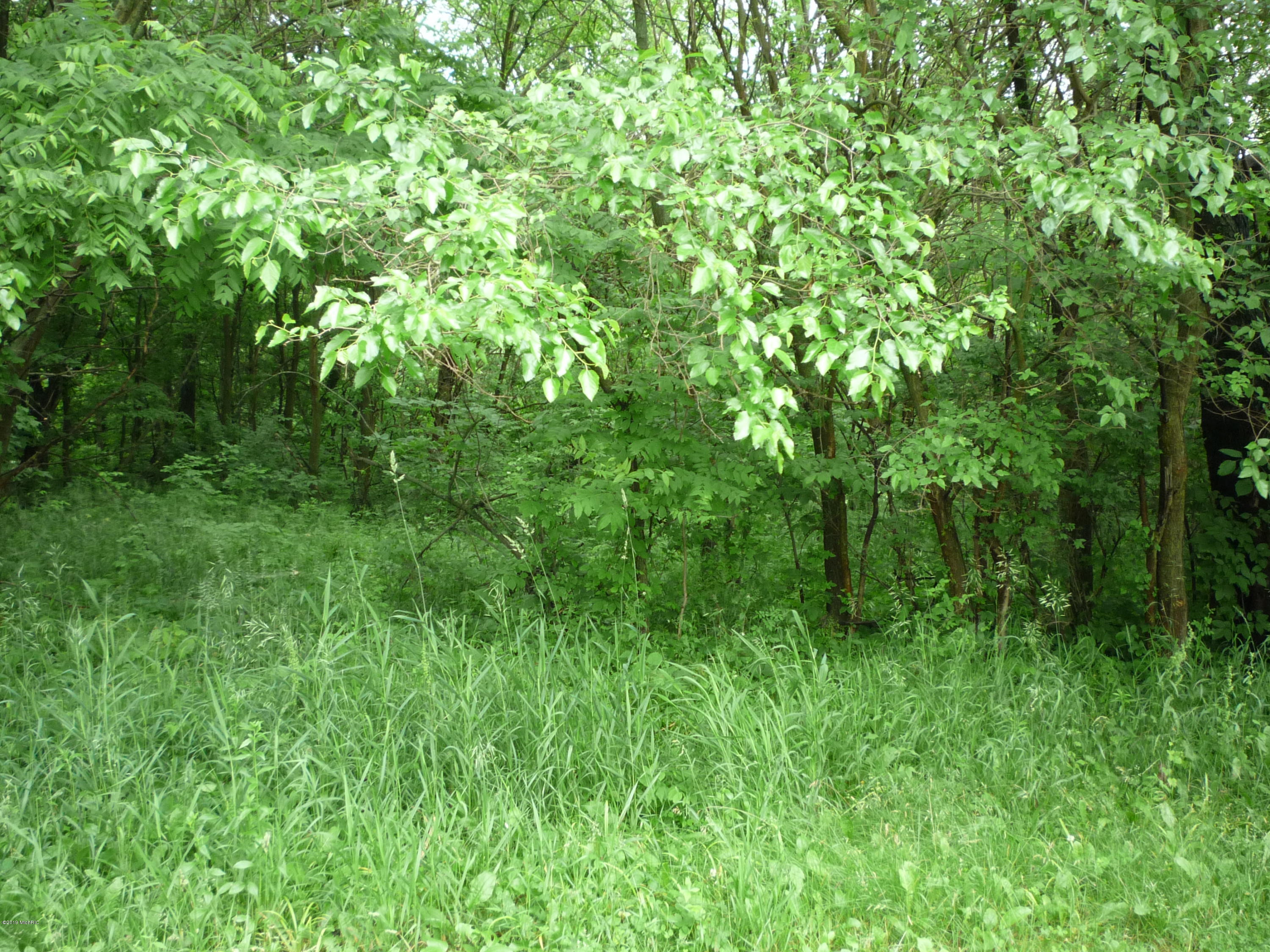 Lot A Wright Road Quincy, MI 49082 - Photo 8 of 11 P1050921