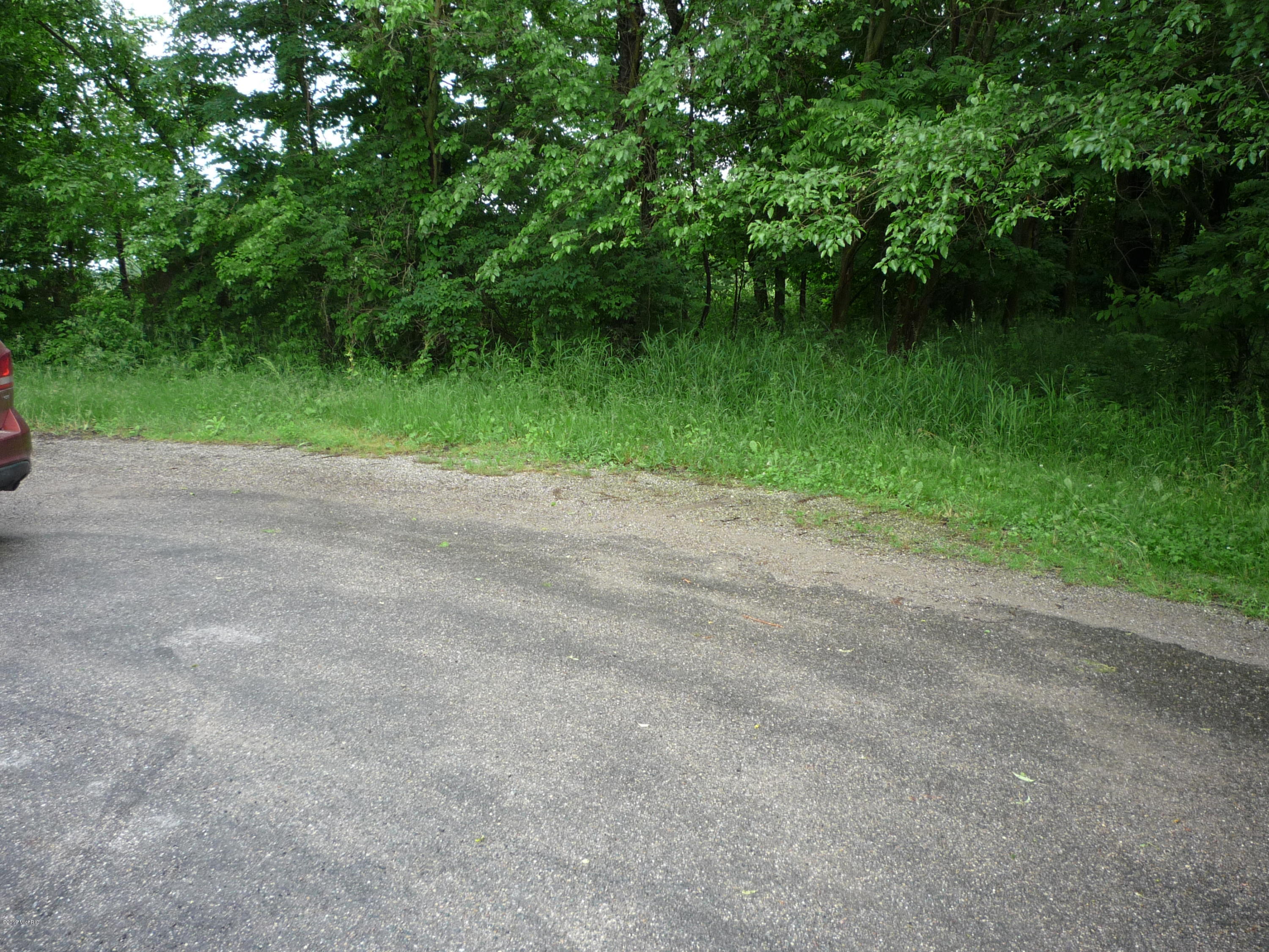 Lot A Wright Road Quincy, MI 49082 - Photo 9 of 11 P1050922