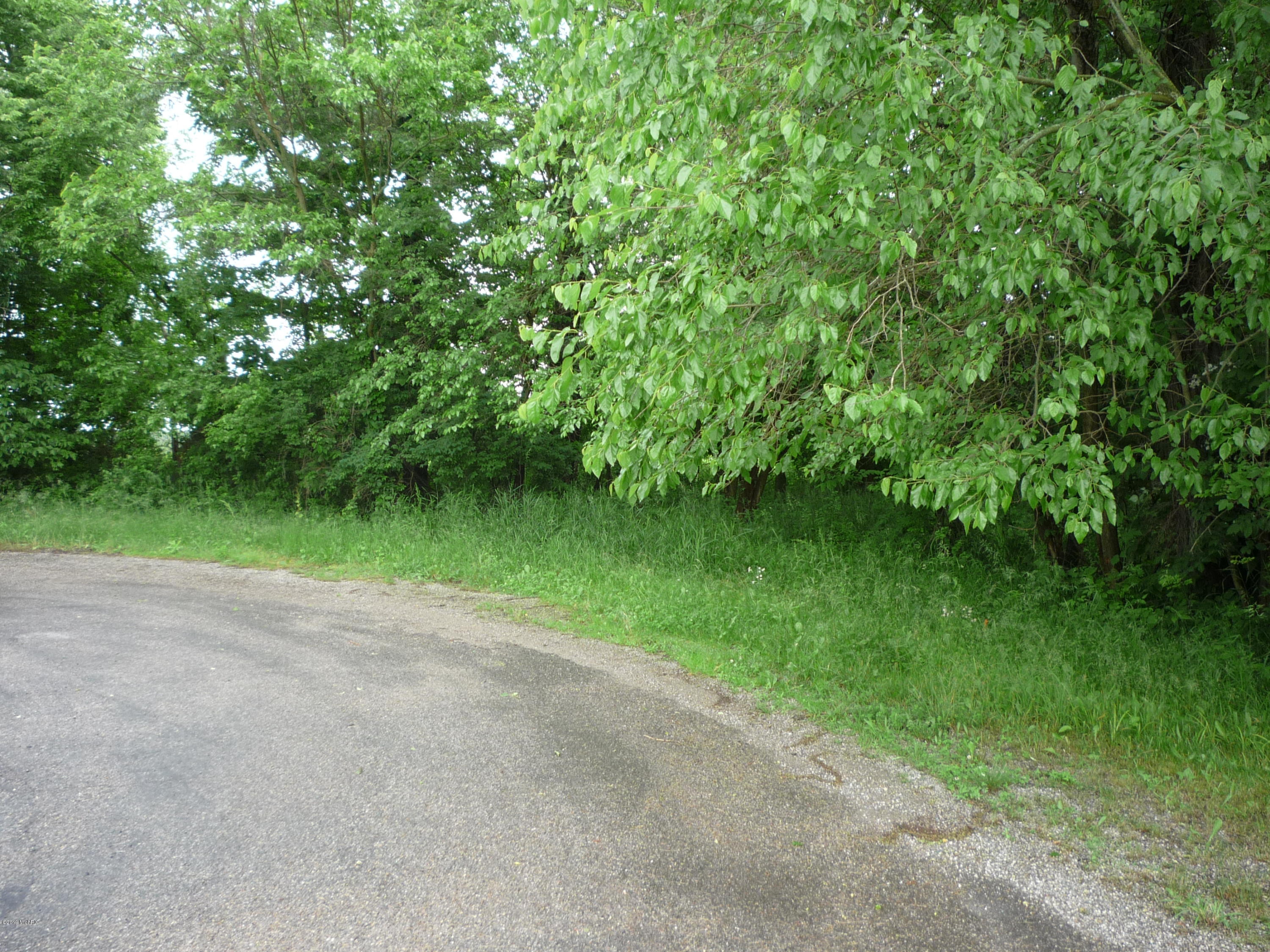 Lot A Wright Road Quincy, MI 49082 - Photo 10 of 11 P1050924