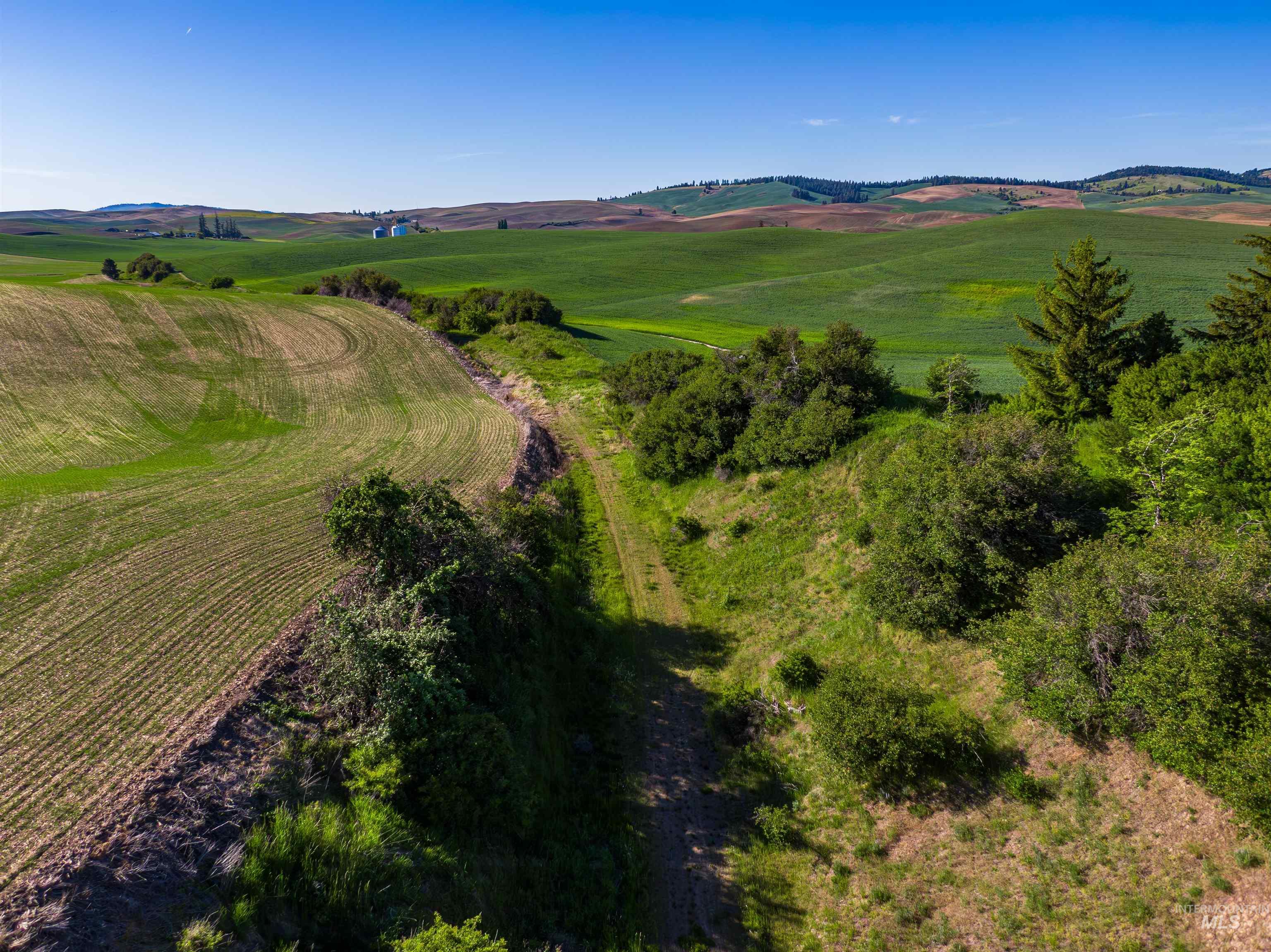 Tbd/000 Mix Road Moscow, ID 83843 - Photo 15 of 31 Aerial view of sparsely populated area