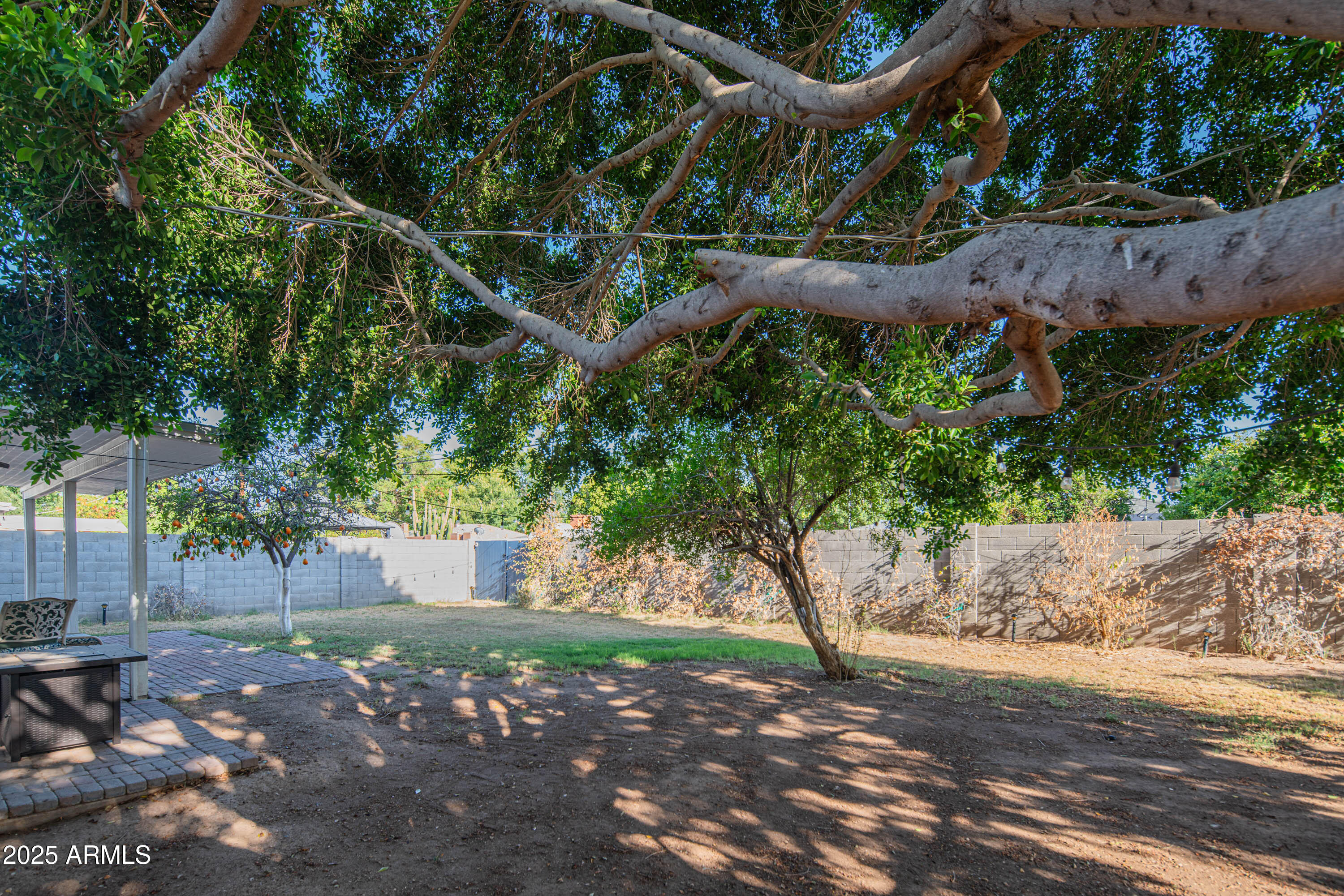 1909 East Bethany Home Road Phoenix, AZ 85016 - Photo 47 of 71 a backyard of a house with lots of green space