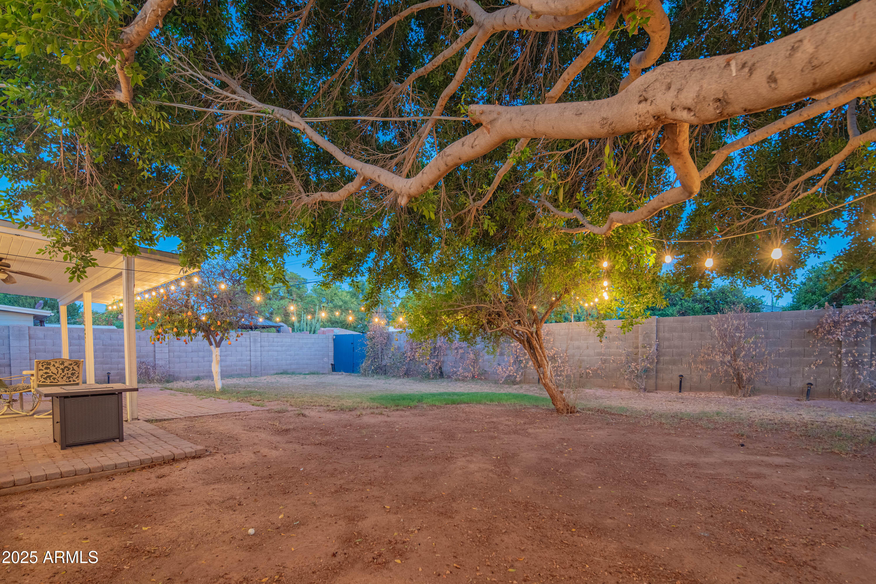 1909 East Bethany Home Road Phoenix, AZ 85016 - Photo 54 of 71 a view of a backyard