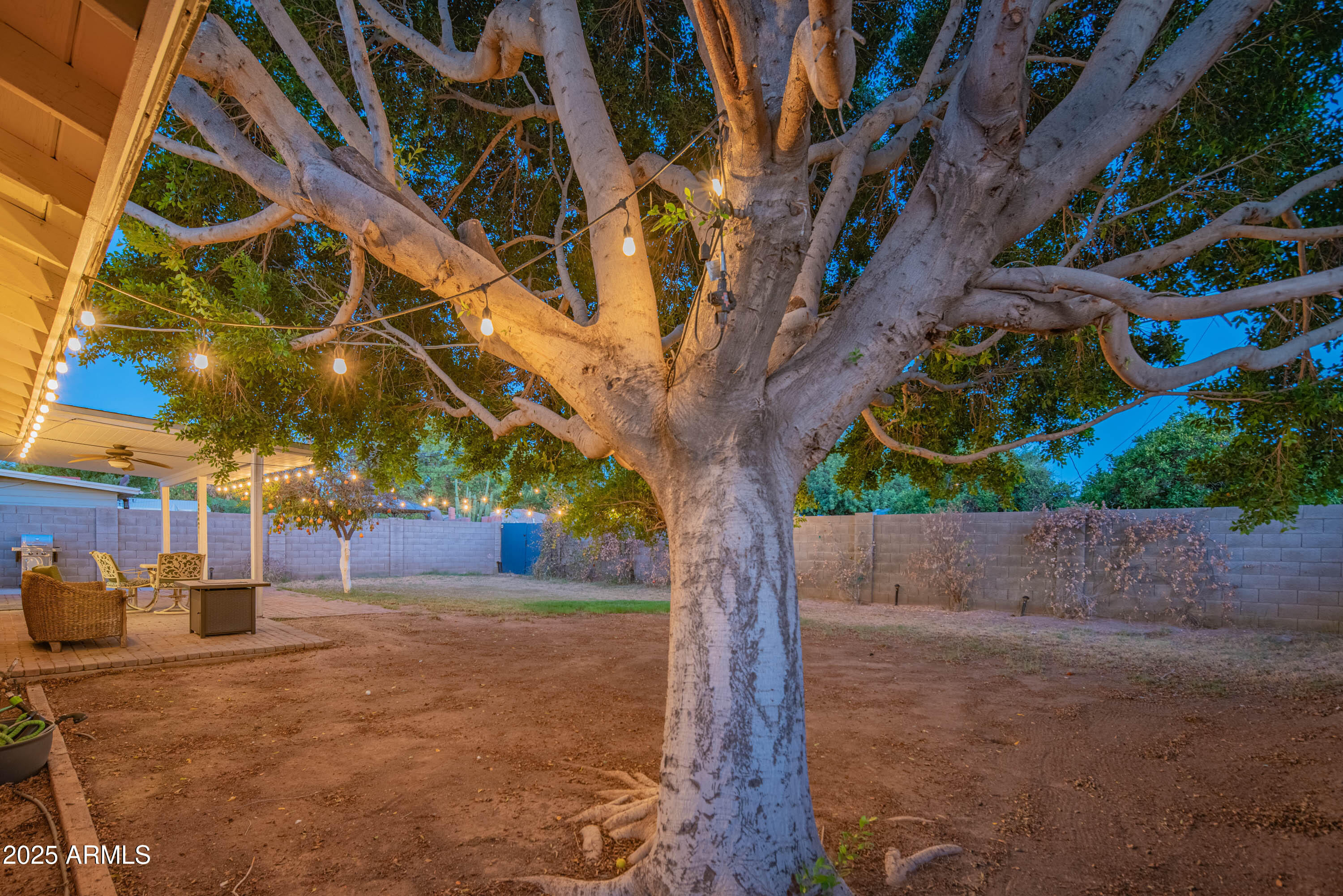 1909 East Bethany Home Road Phoenix, AZ 85016 - Photo 55 of 71 a backyard of a house with lots of trees