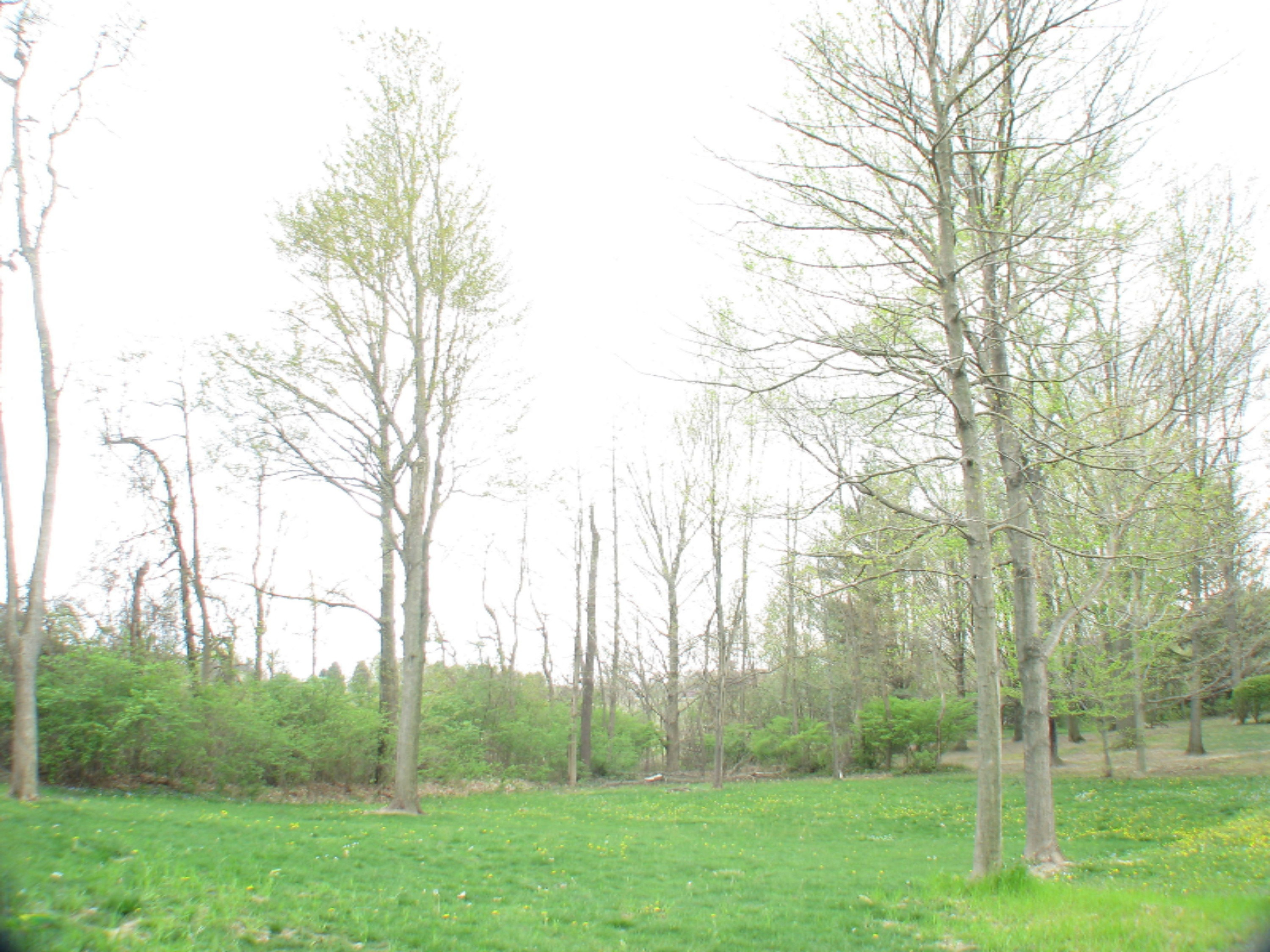 3710 Chamberlain Road Buchanan, MI 49107 - Photo 3 of 12 IMG_4760