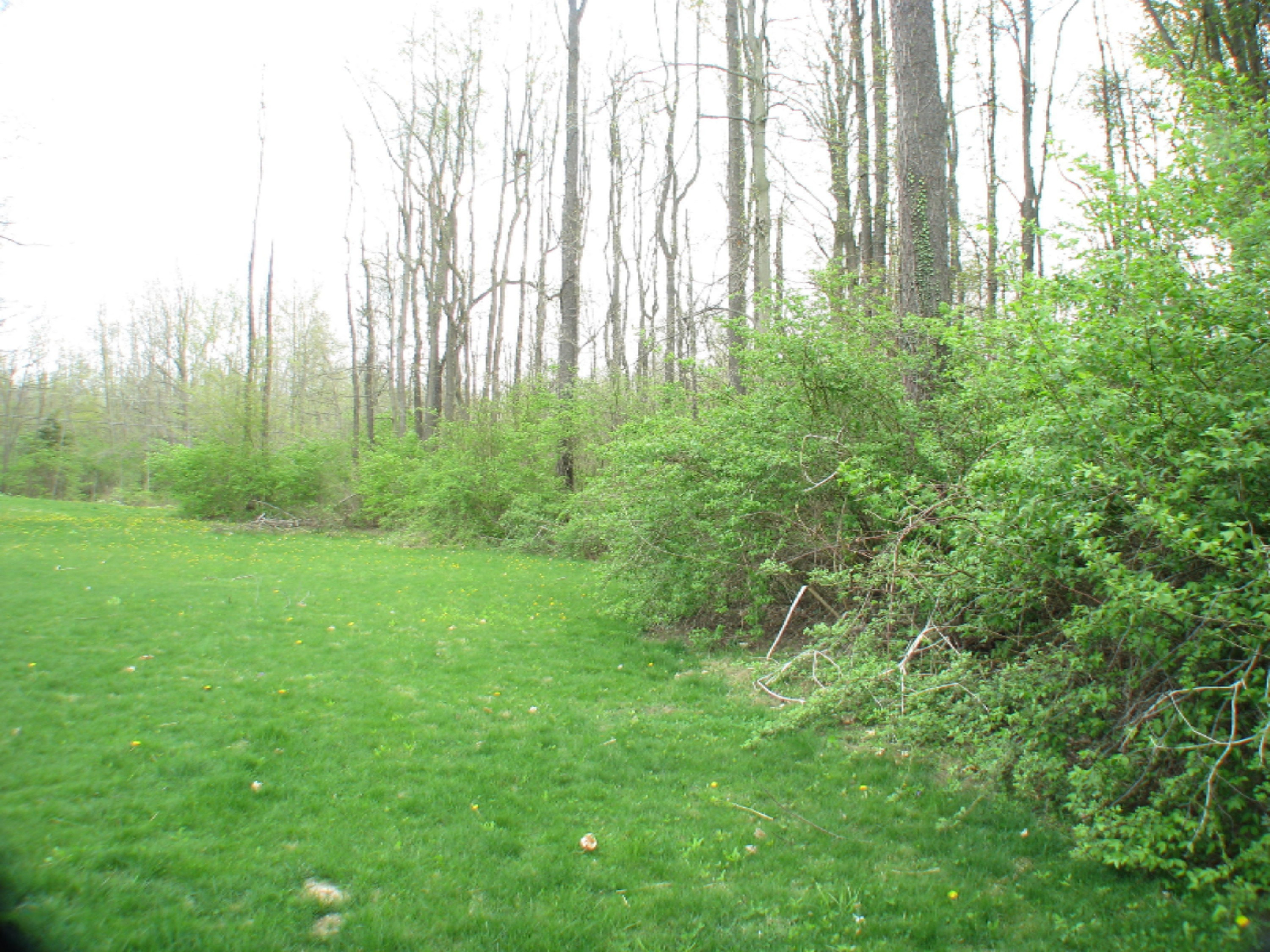 3710 Chamberlain Road Buchanan, MI 49107 - Photo 4 of 12 IMG_4762