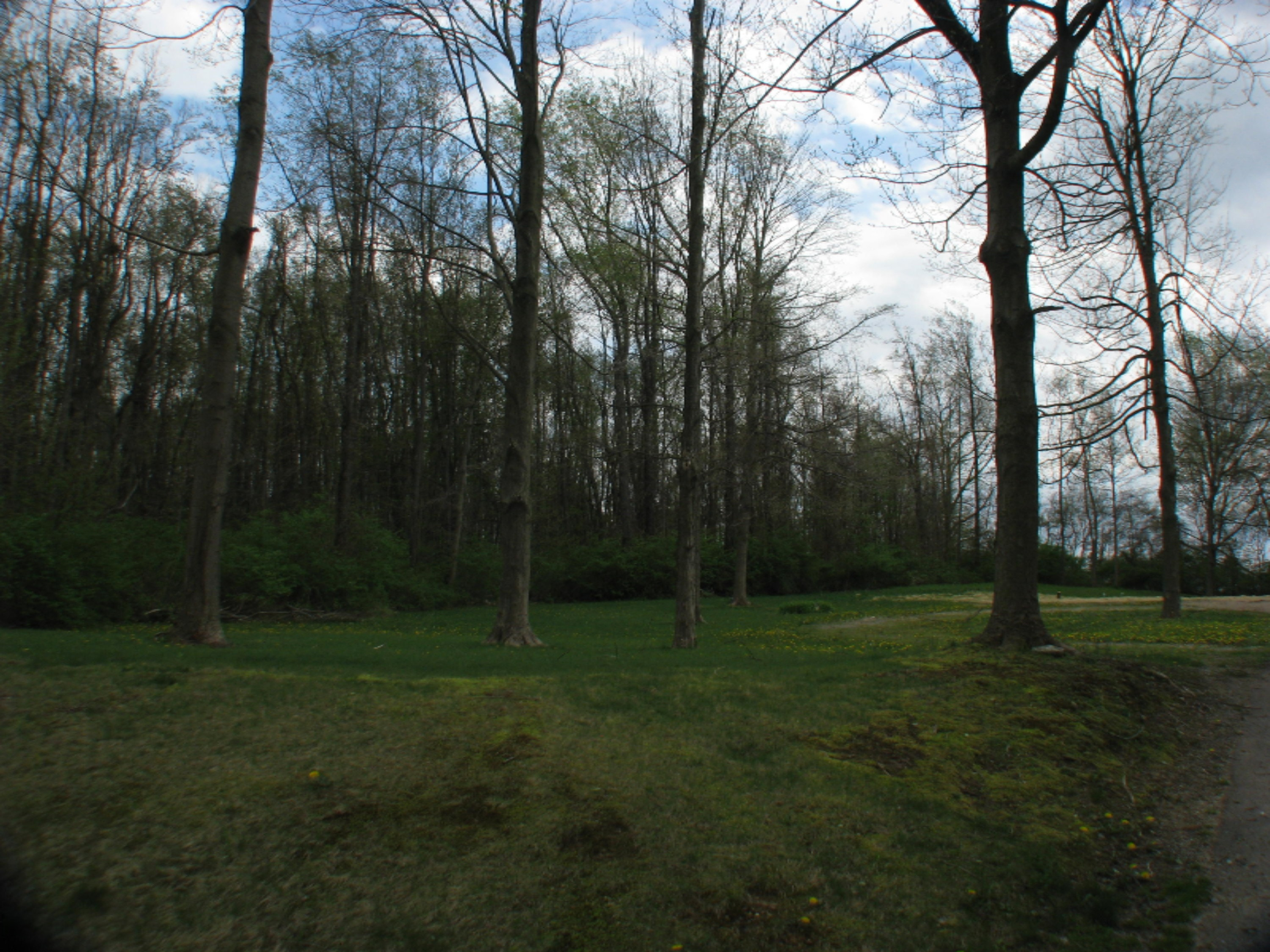 3710 Chamberlain Road Buchanan, MI 49107 - Photo 6 of 12 IMG_4748