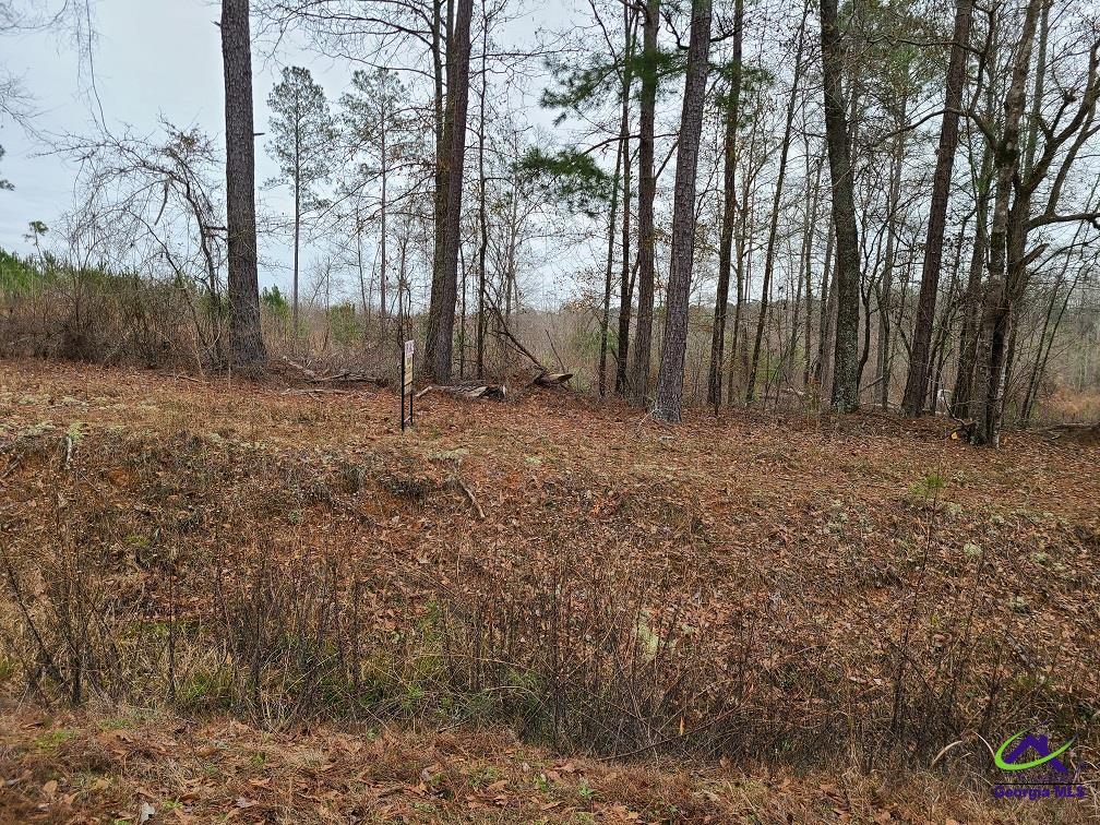 0 Willow Lake Road Fort Valley, GA 31030 - Photo 4 of 9