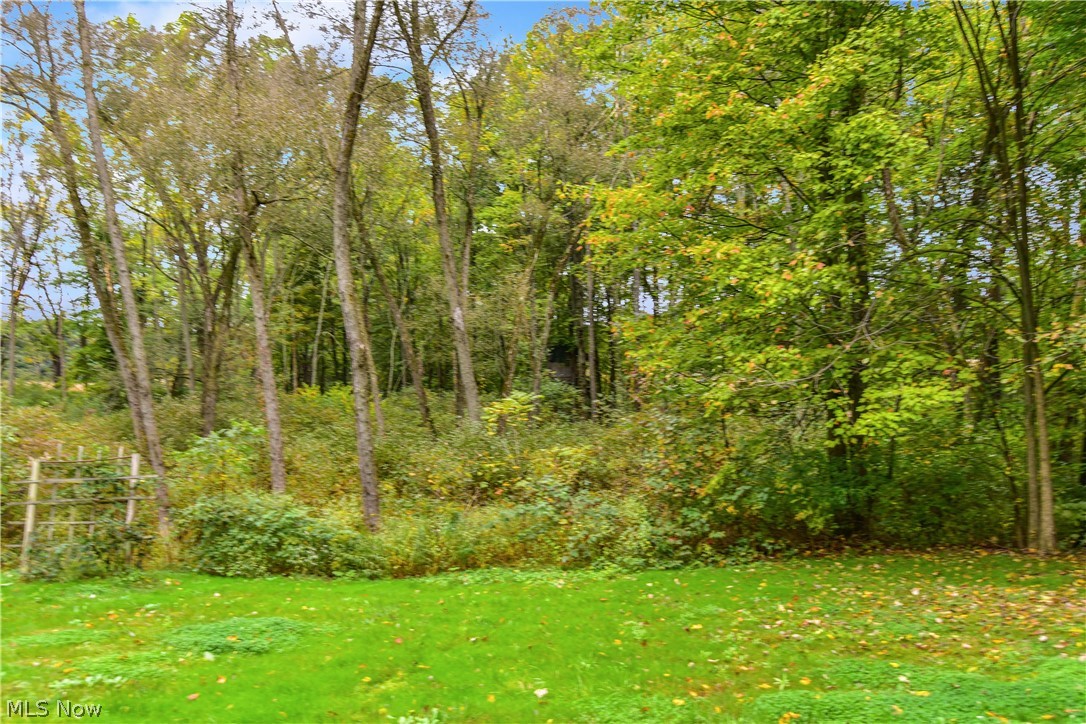 7120 Cool Road Canfield, OH 44406 - Photo 27 of 29 Gallery Image 27