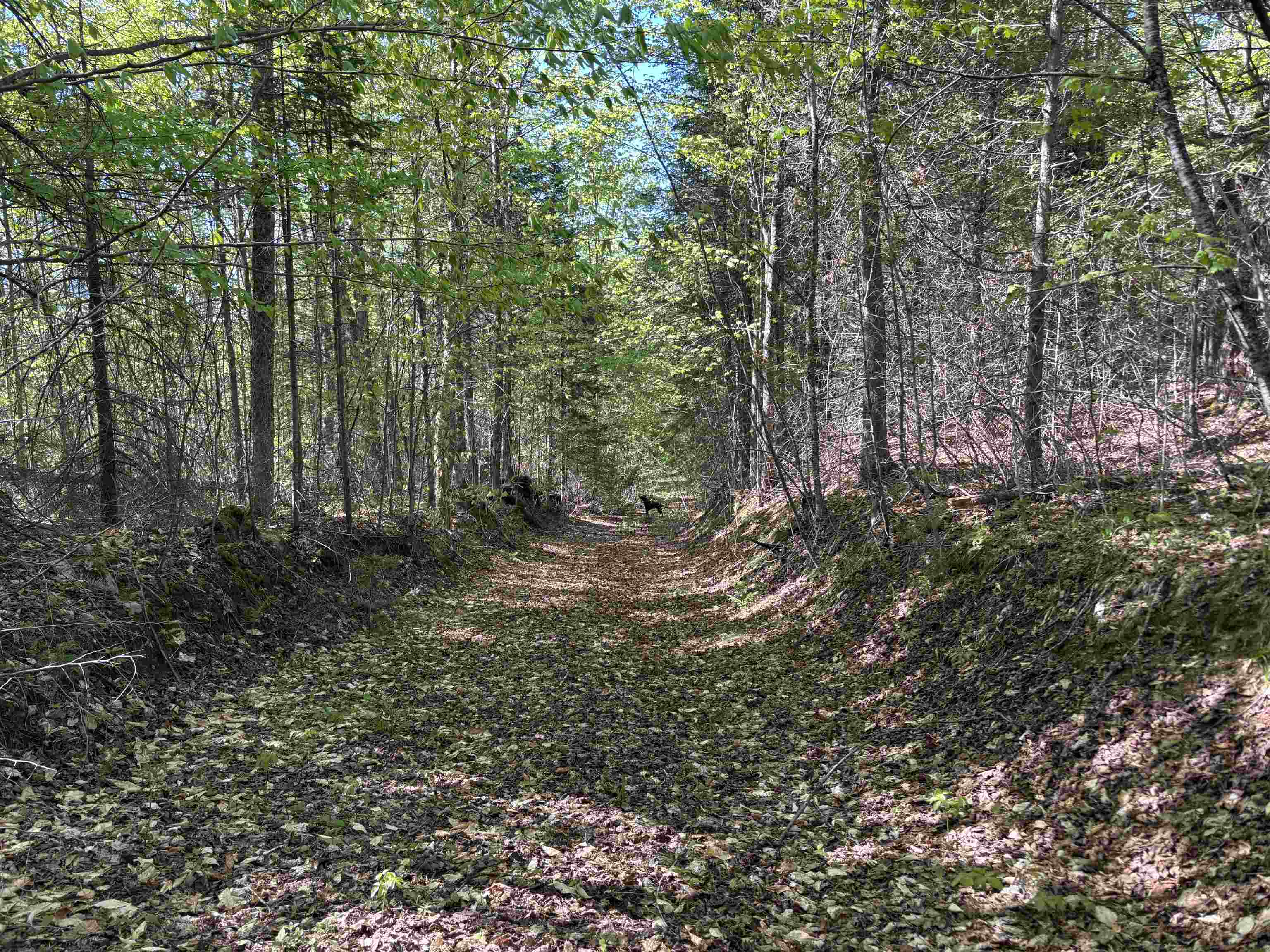 2354 East Ridge Road Sutton, VT 05871 - Photo 32 of 47