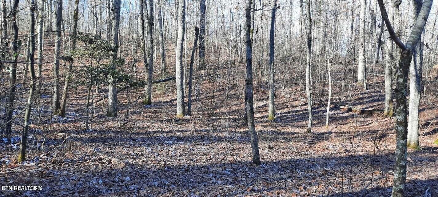 1149 Stanley Hood Road Crossville, TN 38571 - Photo 12 of 14 a view of a backyard