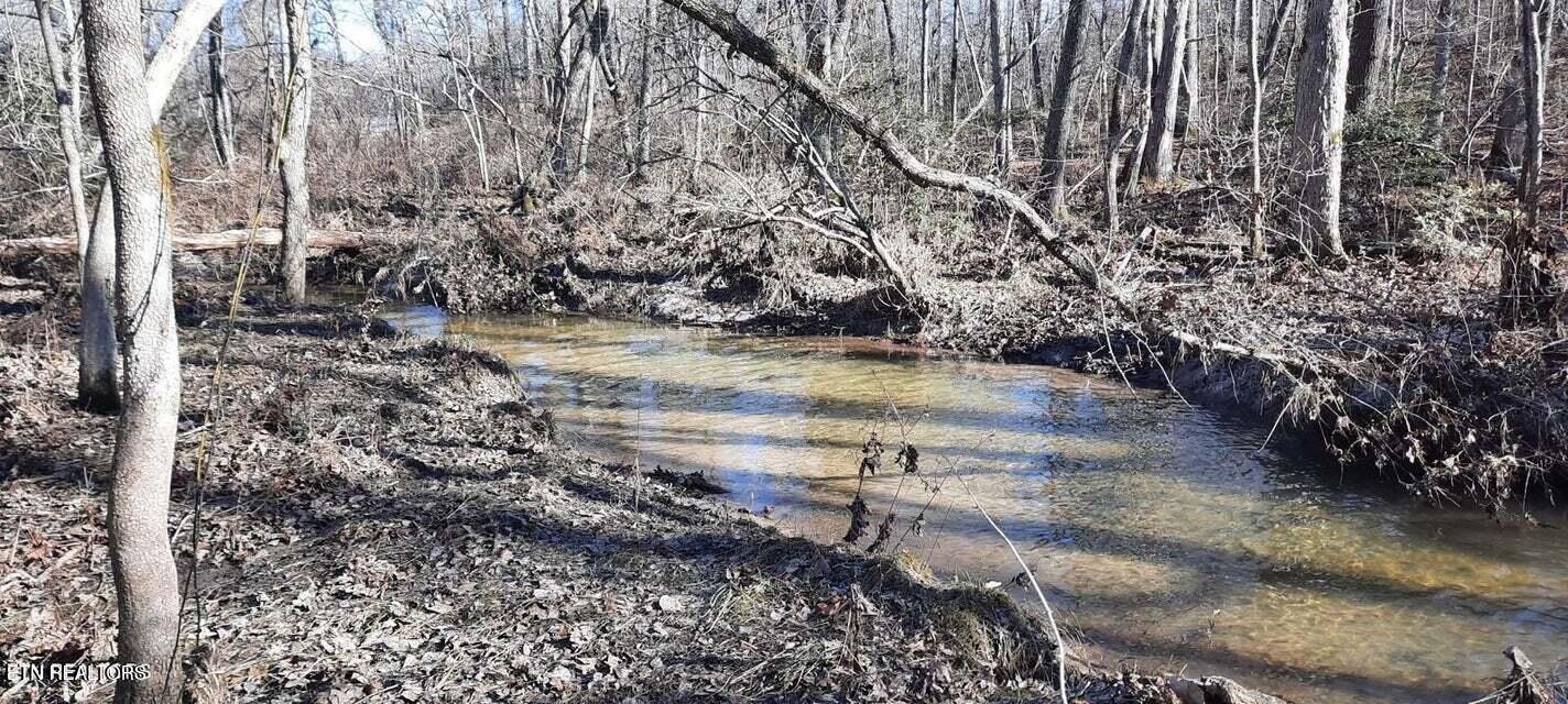 1149 Stanley Hood Road Crossville, TN 38571 - Photo 14 of 14 a view of a yard with trees