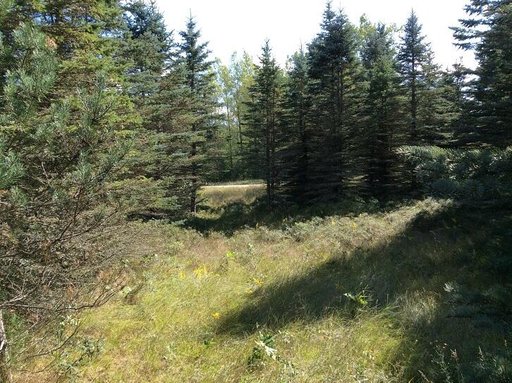 8636 11 Mile Road Mecosta, MI 49332 - Photo 2 of 28 DEMWP_3622