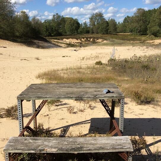 8636 11 Mile Road Mecosta, MI 49332 - Photo 27 of 28 DEMWP_3650