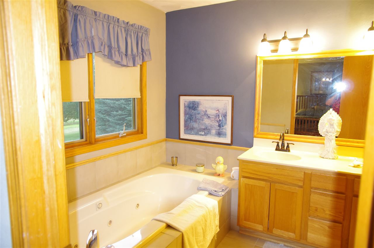 8407 North Kilbuck Road Monroe Center, IL 61052 - Photo 14 of 20 a bathroom with a tub sink and mirror