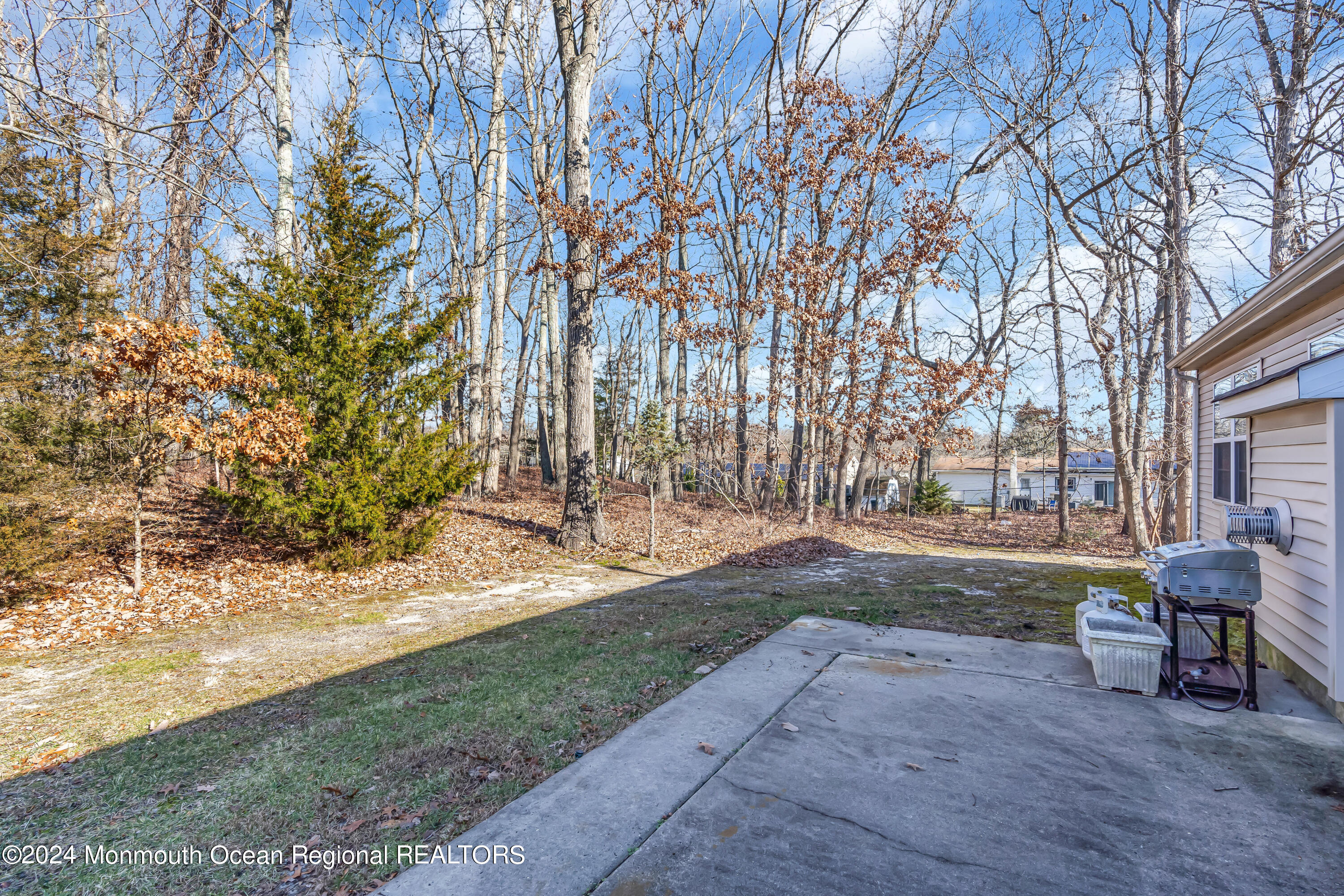 18 Portebello Road Jackson, NJ 08527 - Photo 45 of 48 045_dsc05838