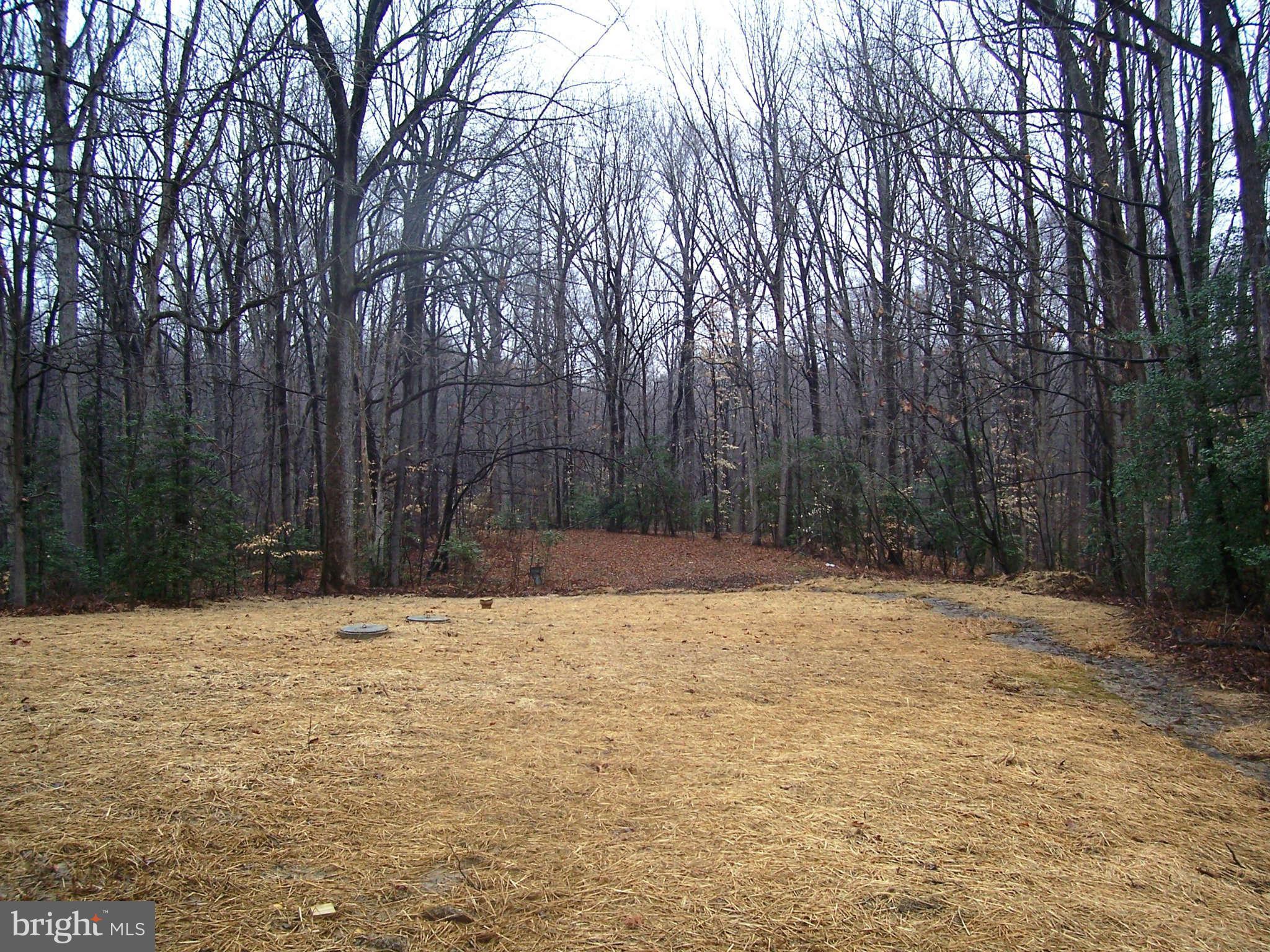 361 Emerson Road Owings, MD 20736 - Photo 25 of 25 a house with trees in front of it