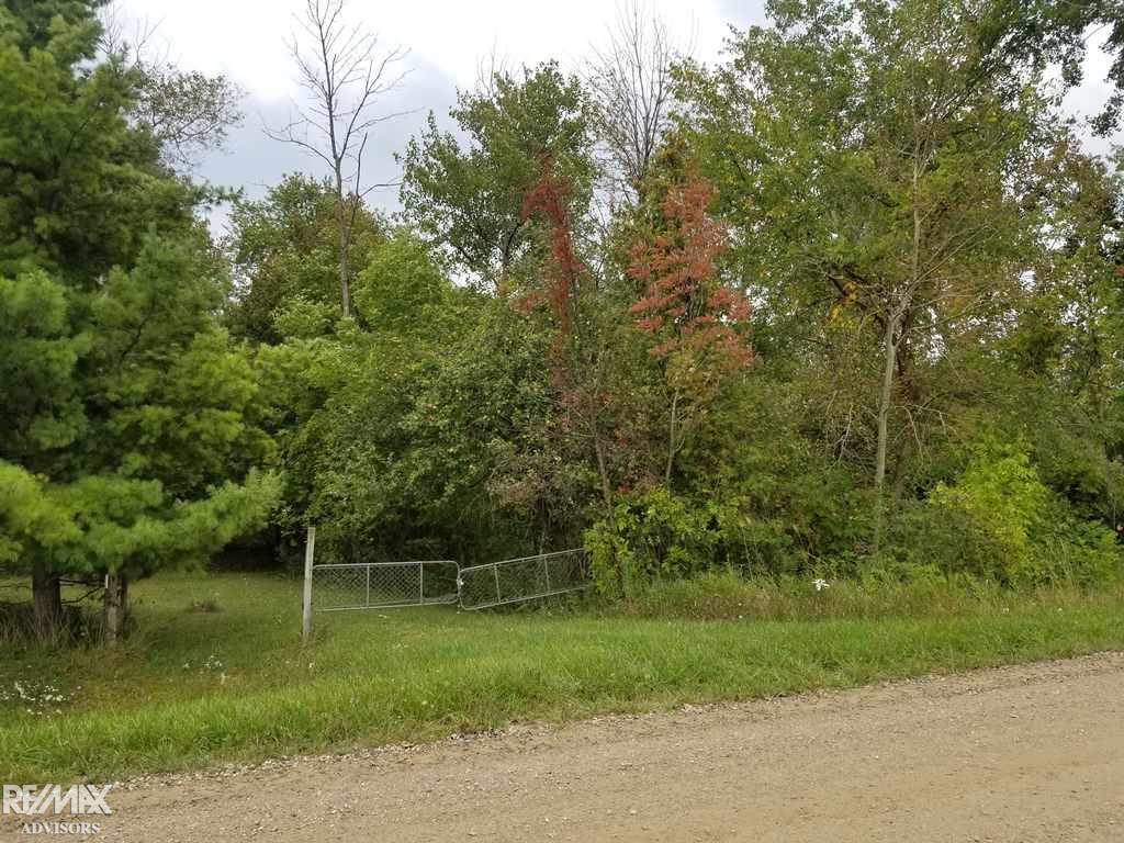 1315 Harneck Road Carsonville, MI 48419 - Photo 7 of 10 50000659-6.JPG