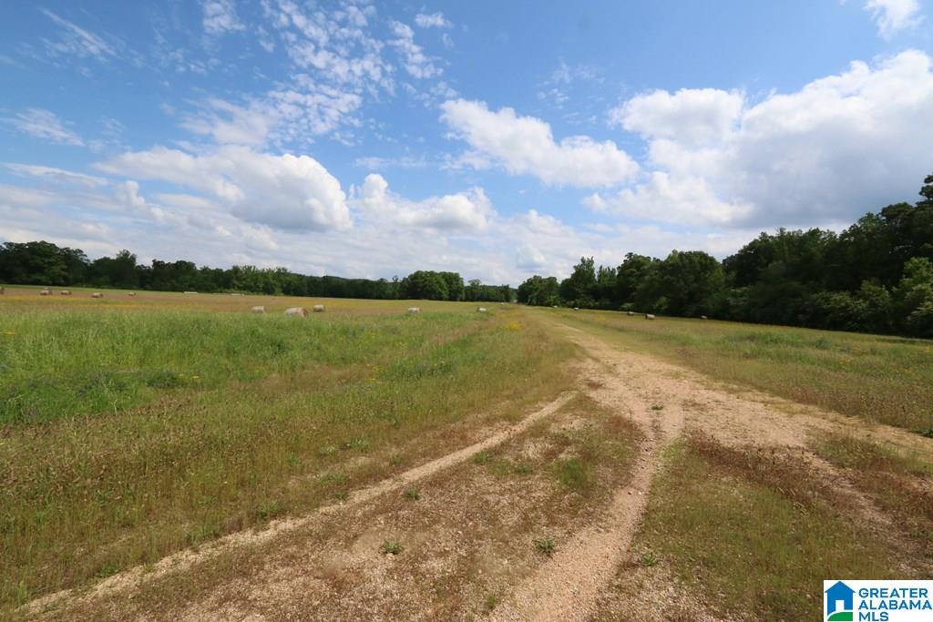 Wolf Creek Road, Unit 79 25 Pell City, AL 35128 - Photo 11 of 14
