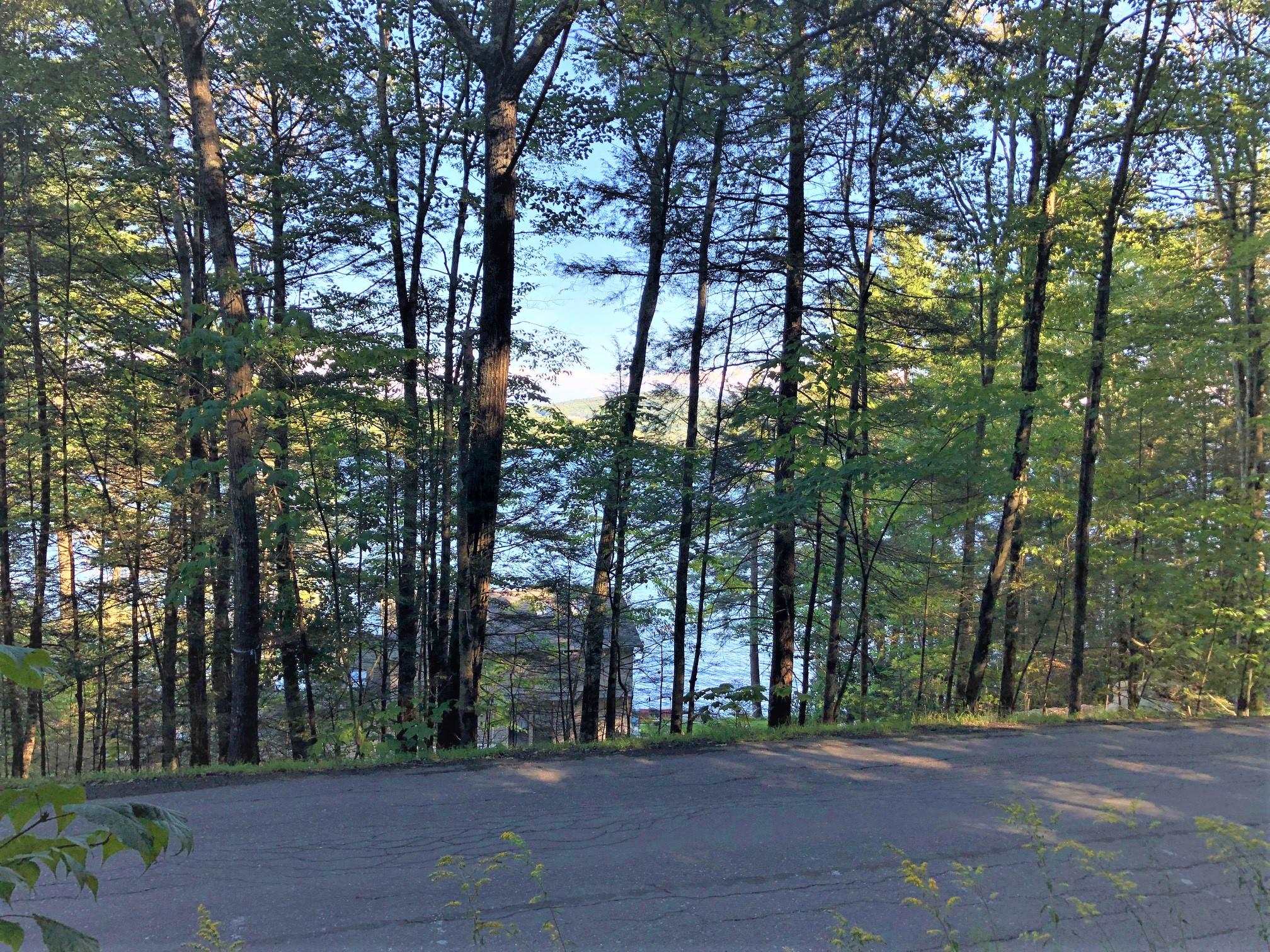 0 North Shore Road Spofford, NH 03462 - Photo 3 of 10