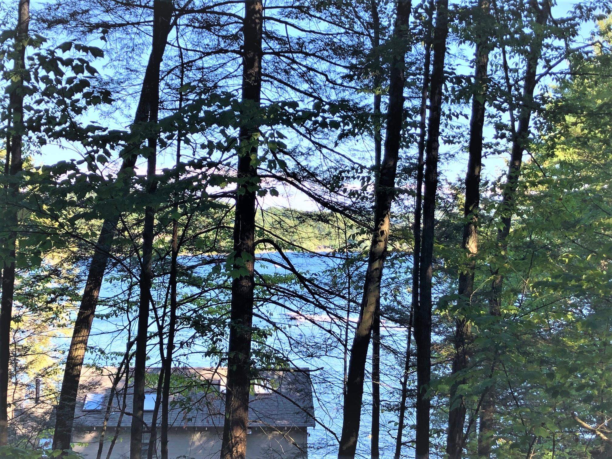 0 North Shore Road Spofford, NH 03462 - Photo 4 of 10