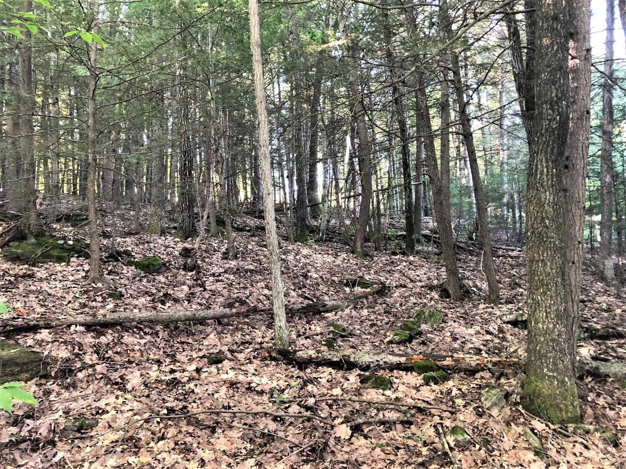 0 North Shore Road Spofford, NH 03462 - Photo 5 of 10